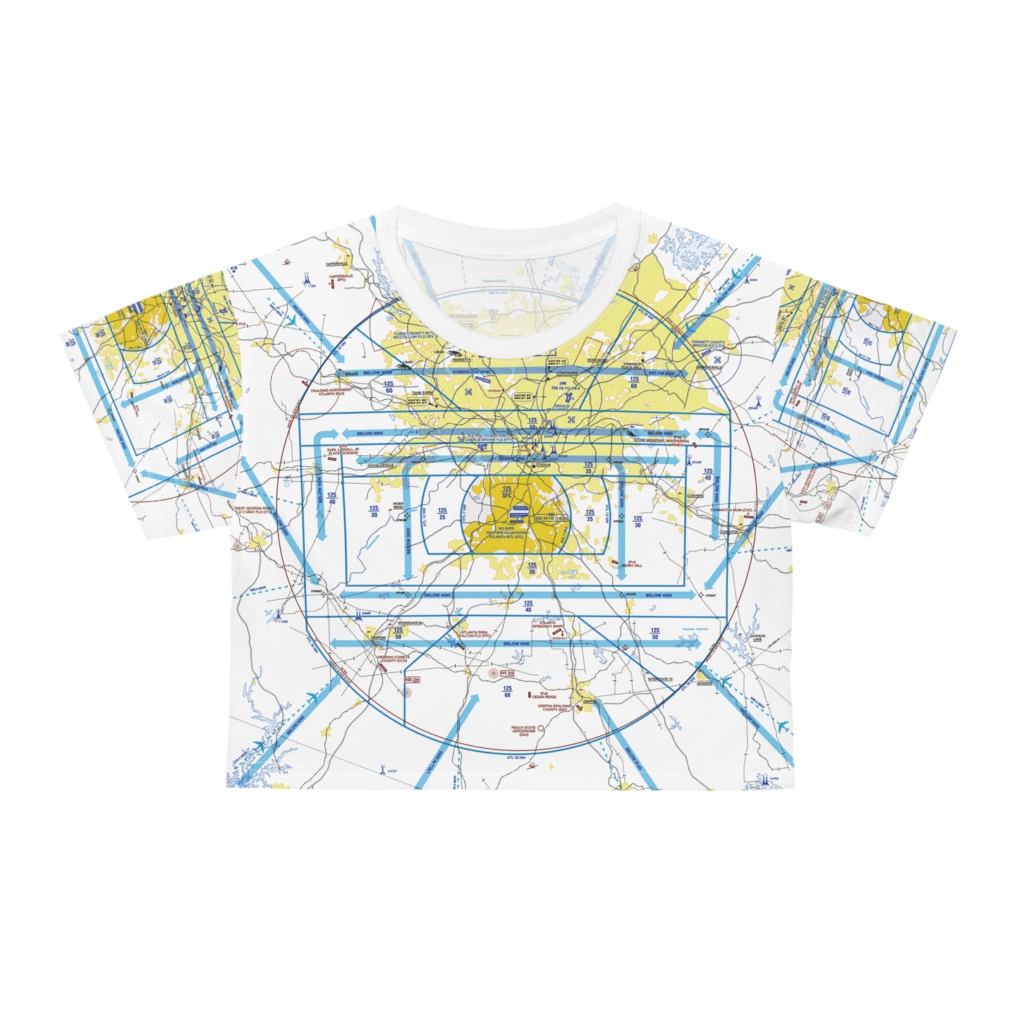 Atlanta Flyway Chart crop tee