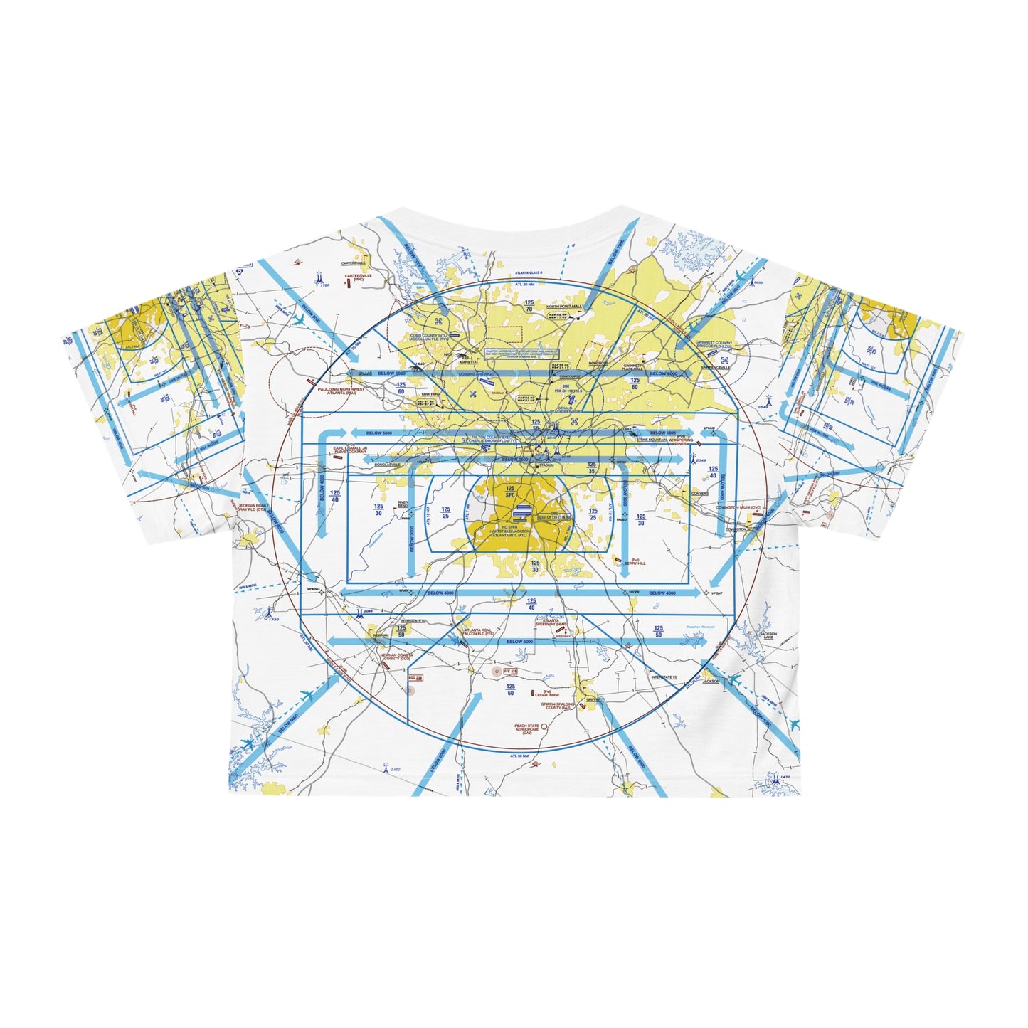 Atlanta Flyway Chart crop tee