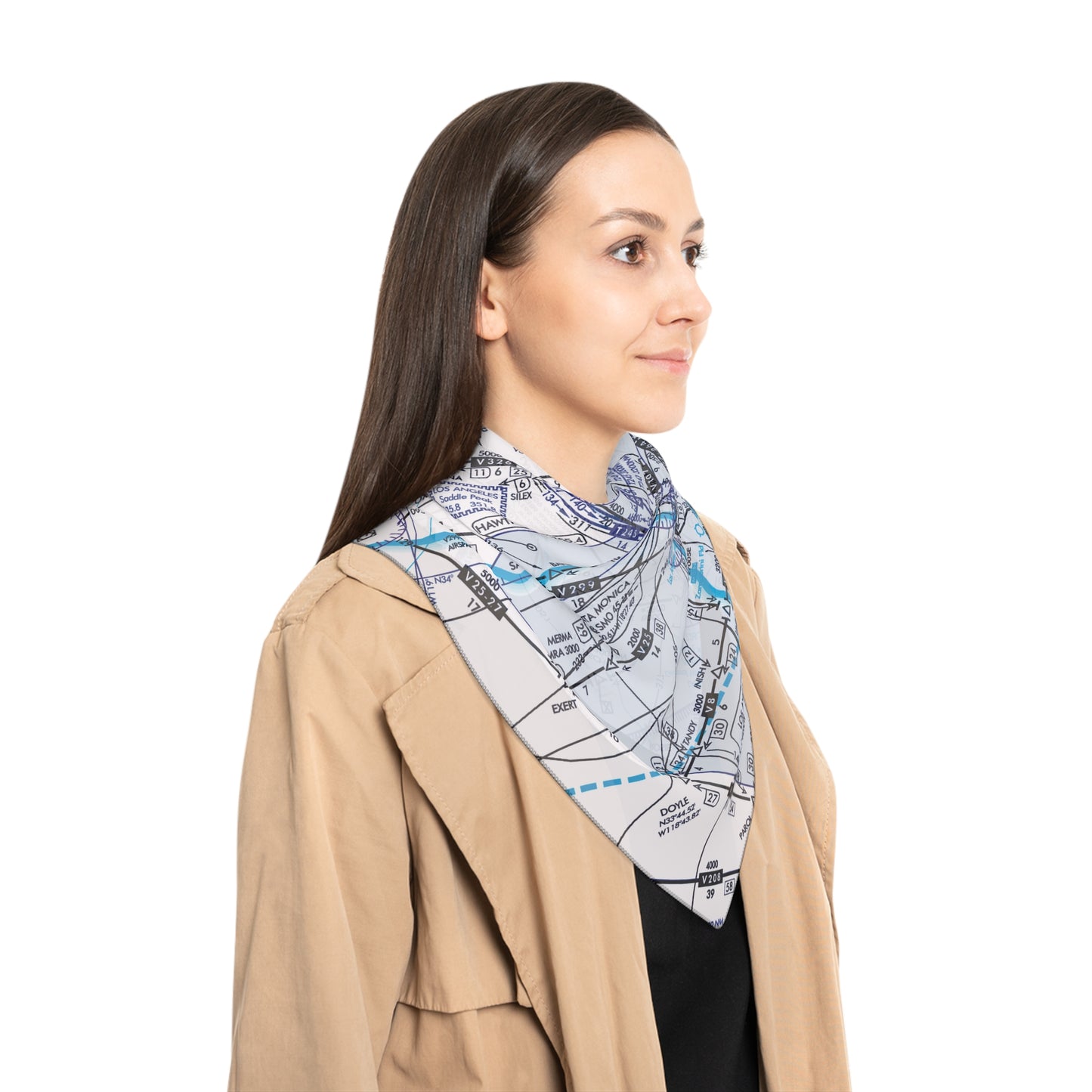 Enroute Low Altitude (ELUS3) Chart poly scarf