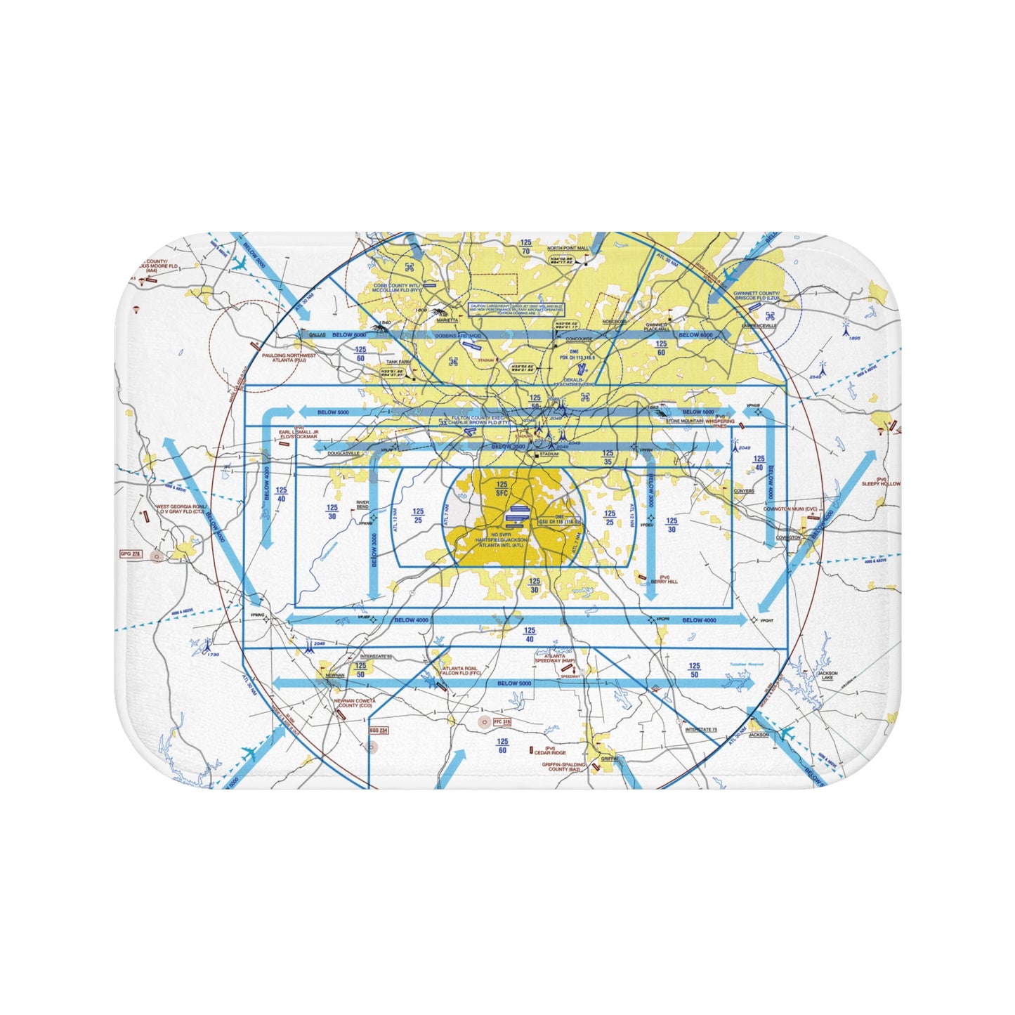 Atlanta Flyway Chart bath mat