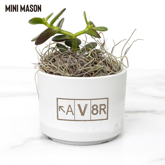 AV8R desk plant