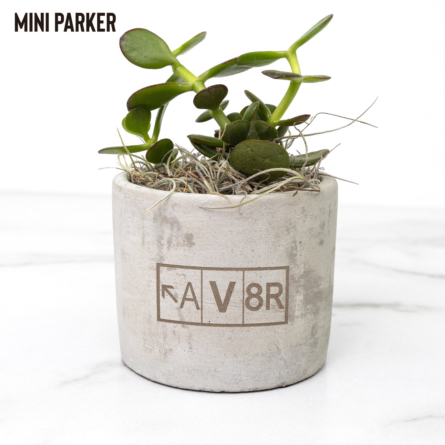 AV8R desk plant