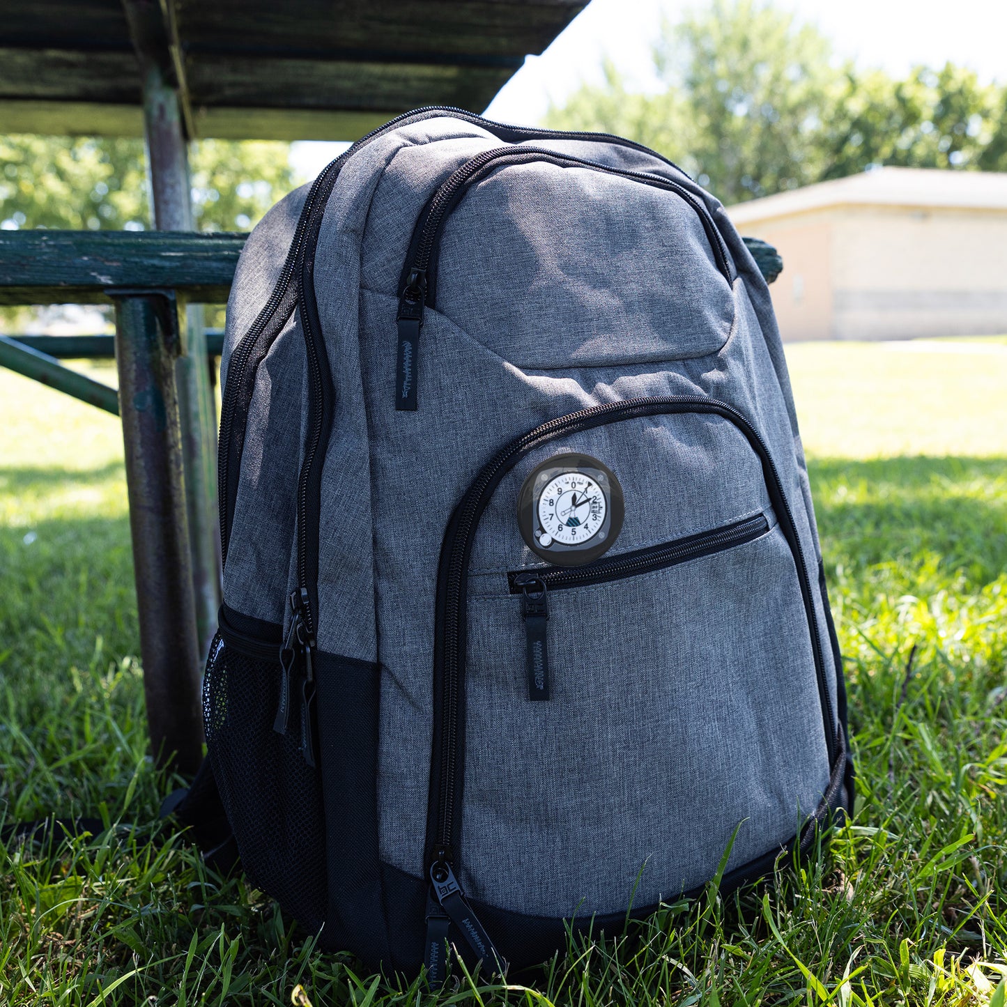 Altimeter pin button