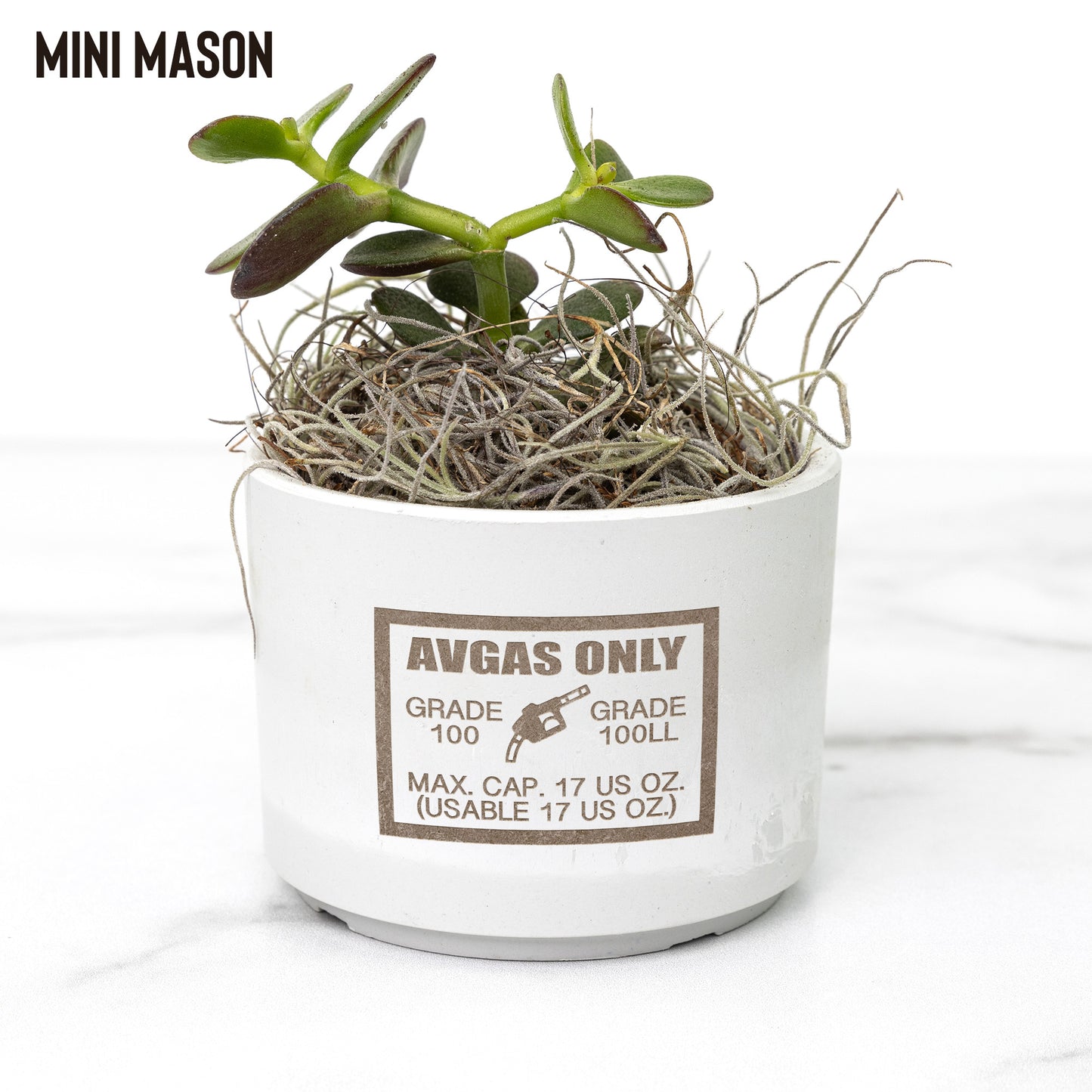 Avgas Only 100LL desk plant