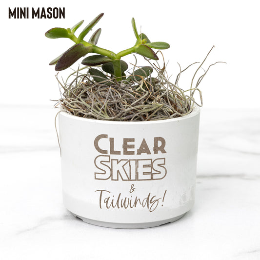 Clear Skies & Tailwinds desk plants