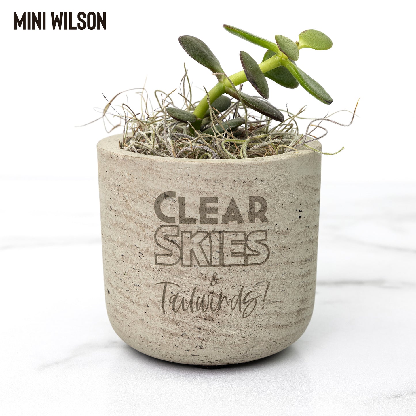 Clear Skies & Tailwinds desk plants
