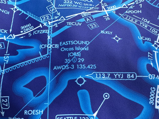 Enroute Low Altitude Chart (ELUS1) women's pencil skirt (blue)