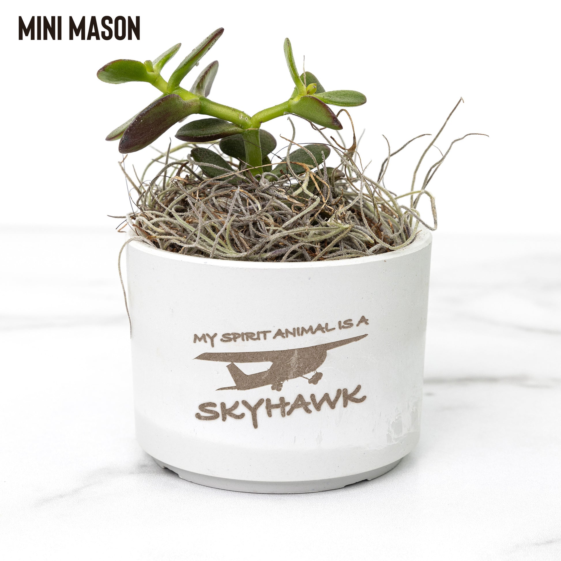 My Spirit Animal is a Skyhawk desk plant