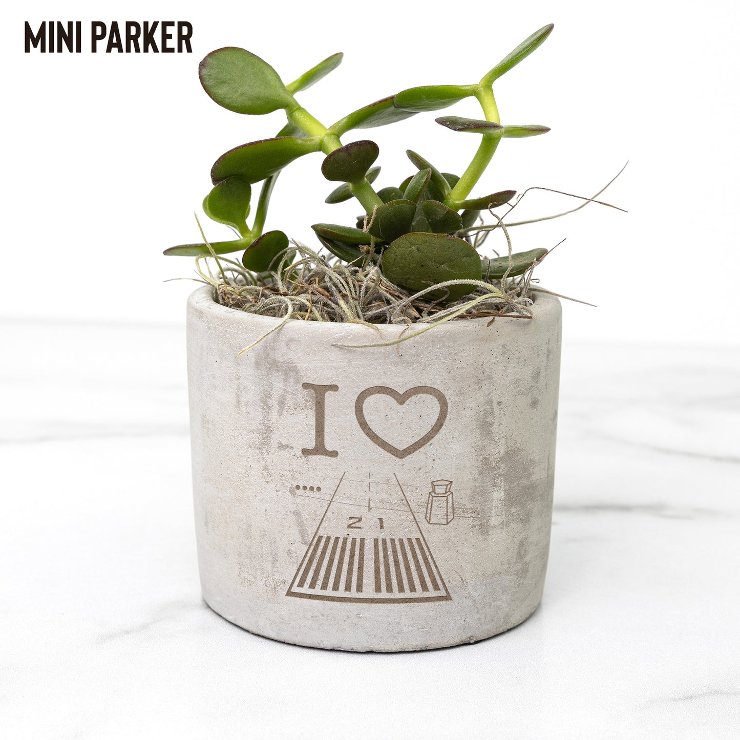 Santa Monica Airport Runway 21 desk plant