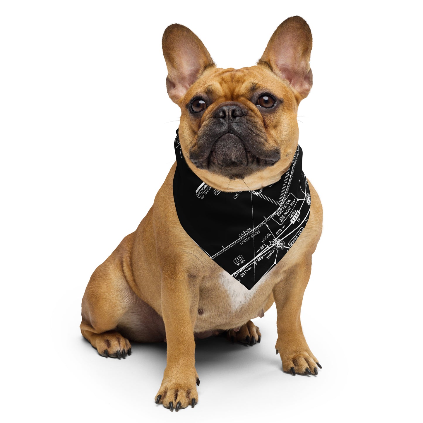 Enroute Low Altitude Chart bandana (ELUS1/black)