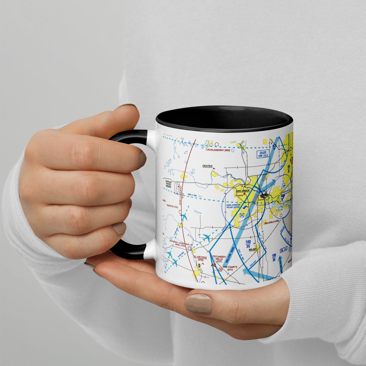 Detroit Flyway Chart mug with color inside