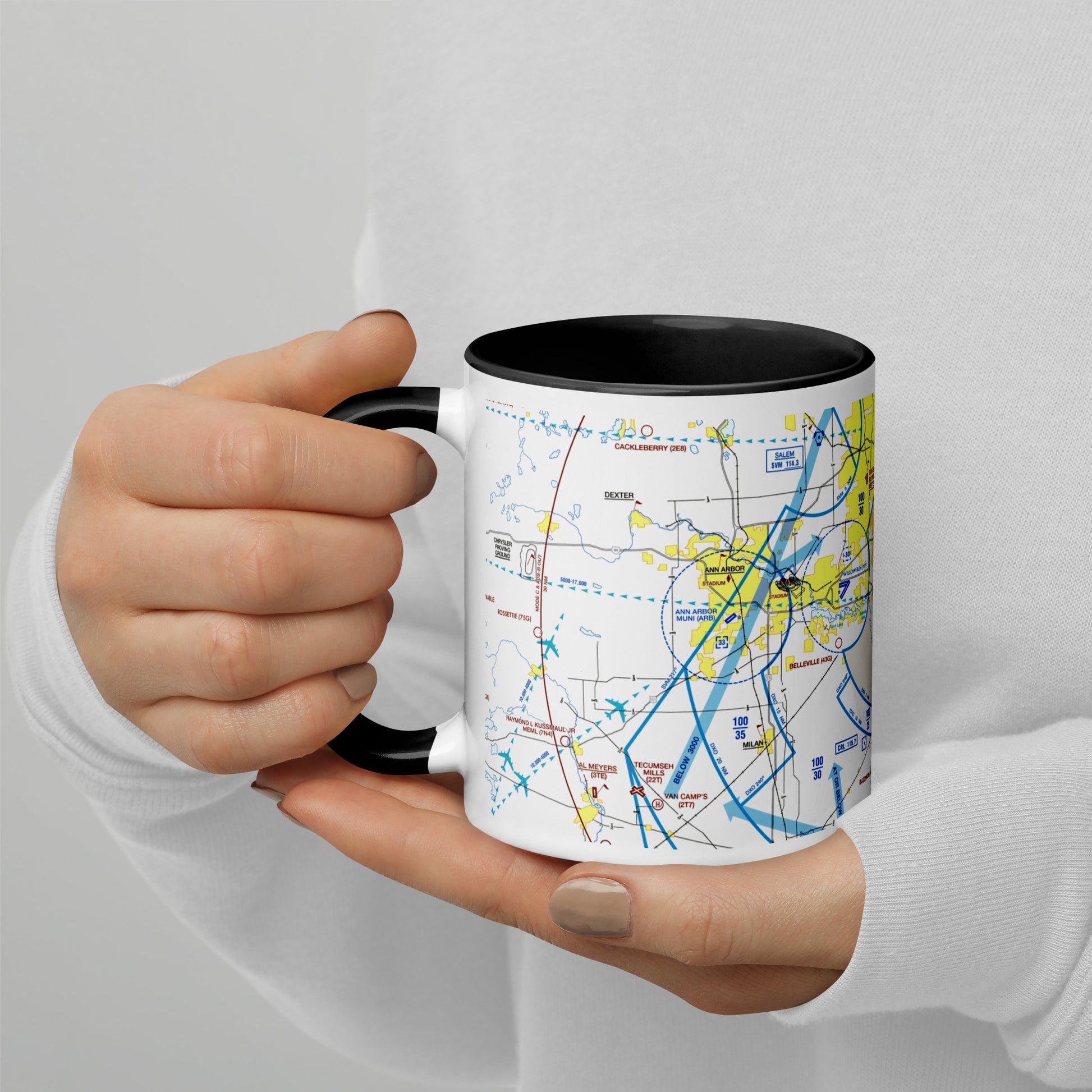 Detroit Flyway Chart mug with color inside