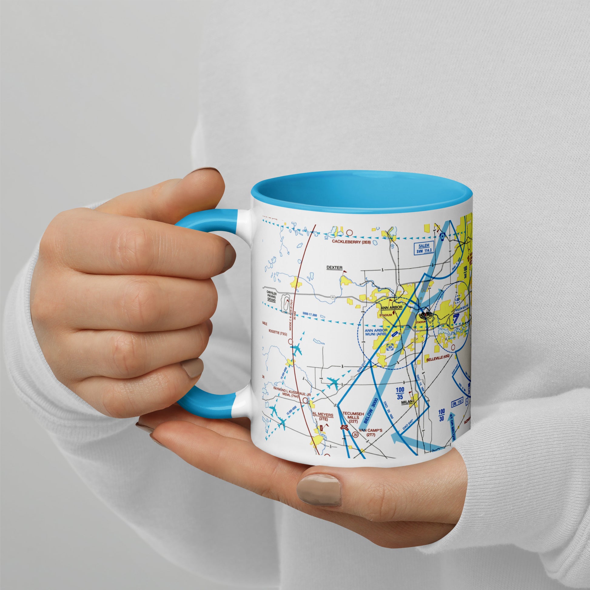 Detroit Flyway Chart mug with color inside