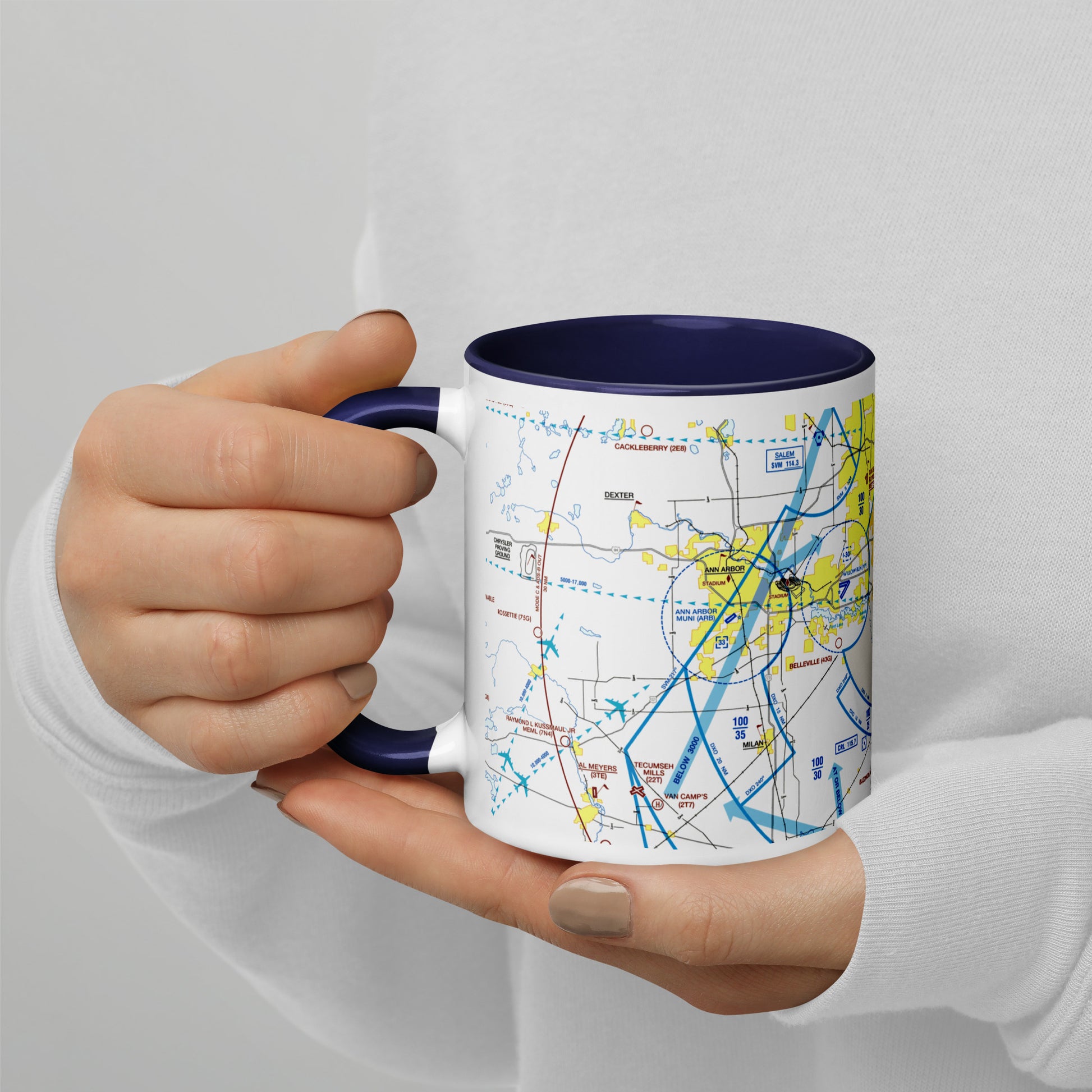 Detroit Flyway Chart mug with color inside