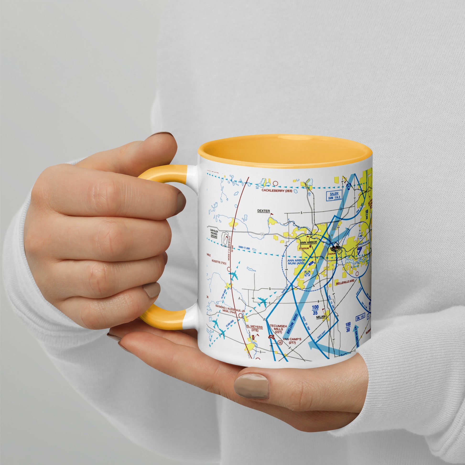 Detroit Flyway Chart mug with color inside