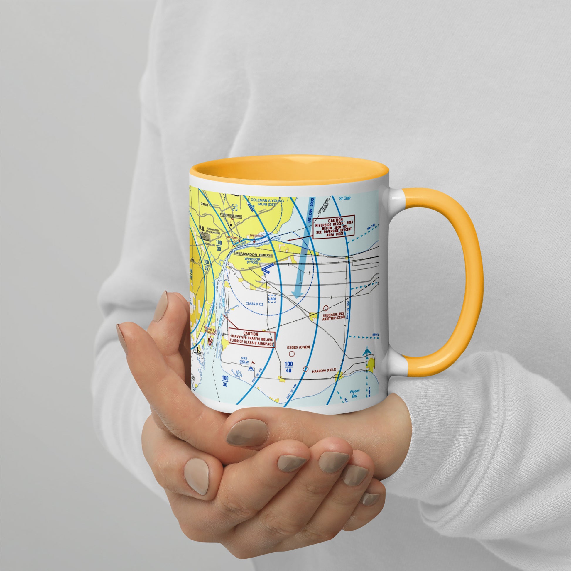 Detroit Flyway Chart mug with color inside