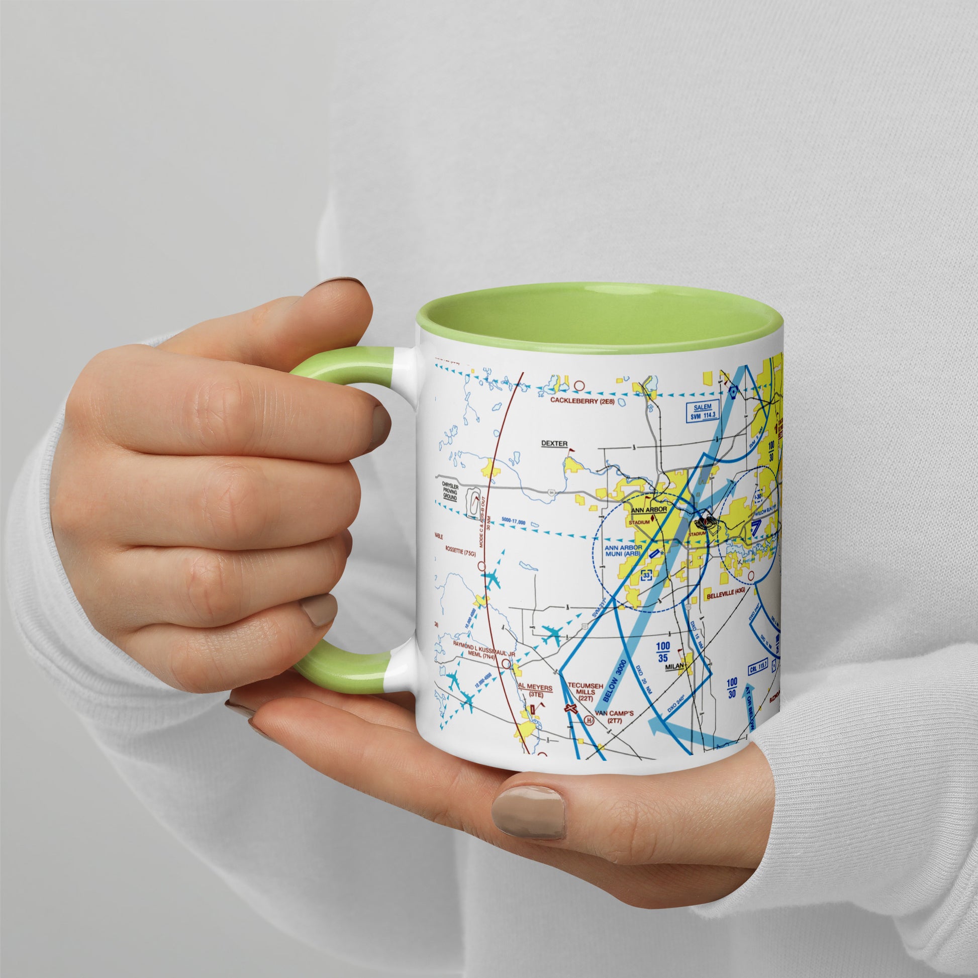 Detroit Flyway Chart mug with color inside