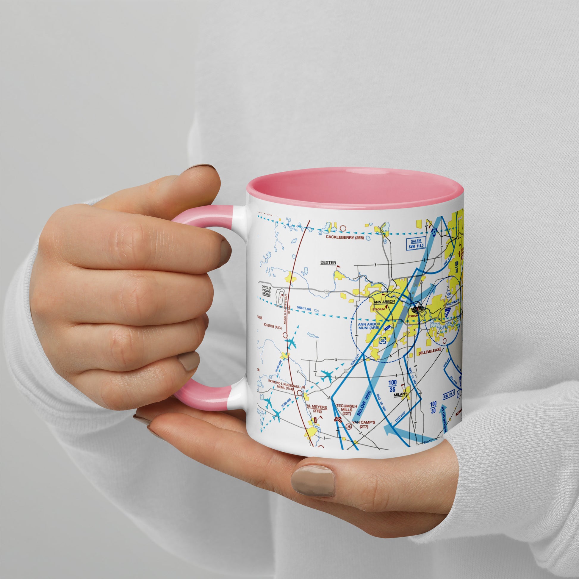 Detroit Flyway Chart mug with color inside