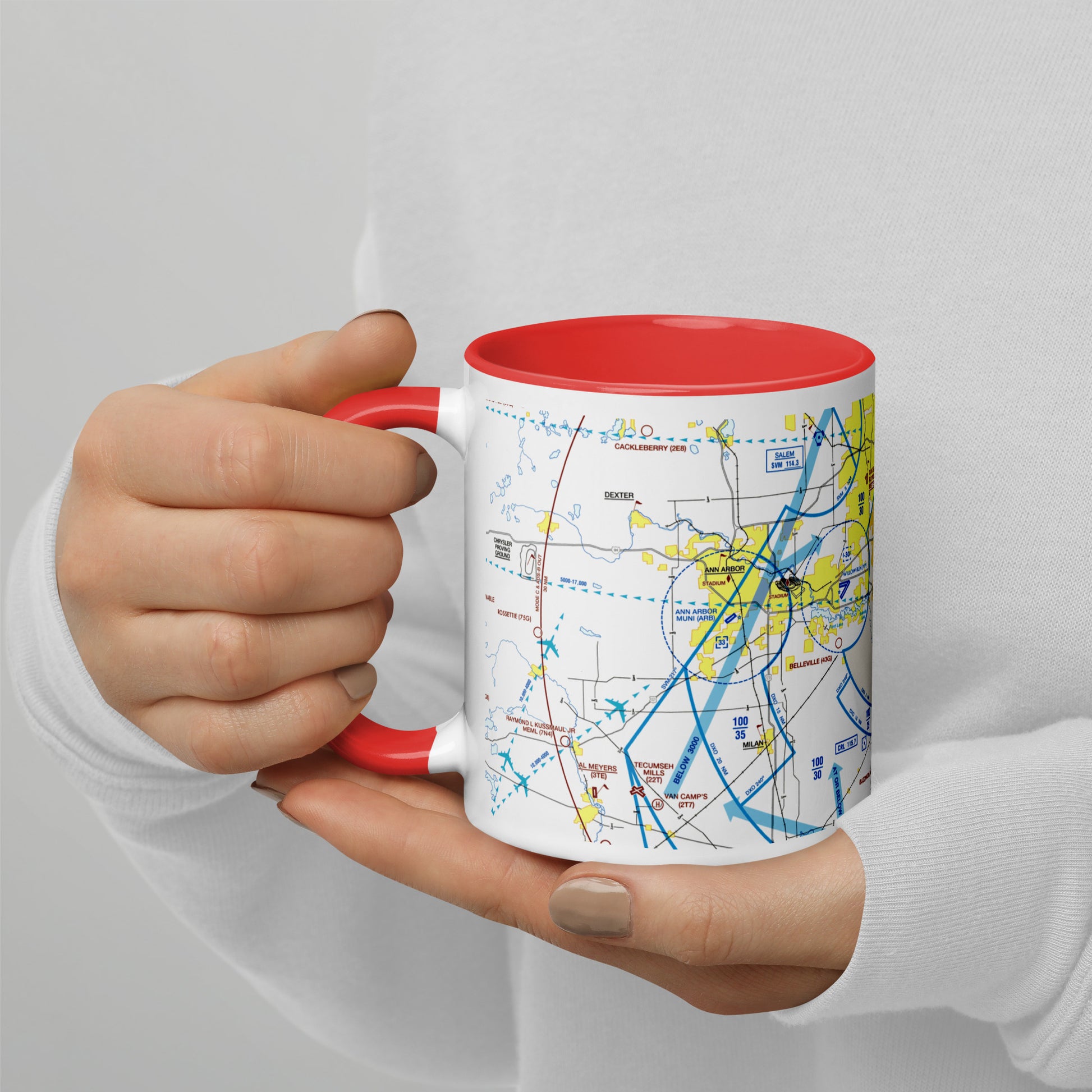Detroit Flyway Chart mug with color inside