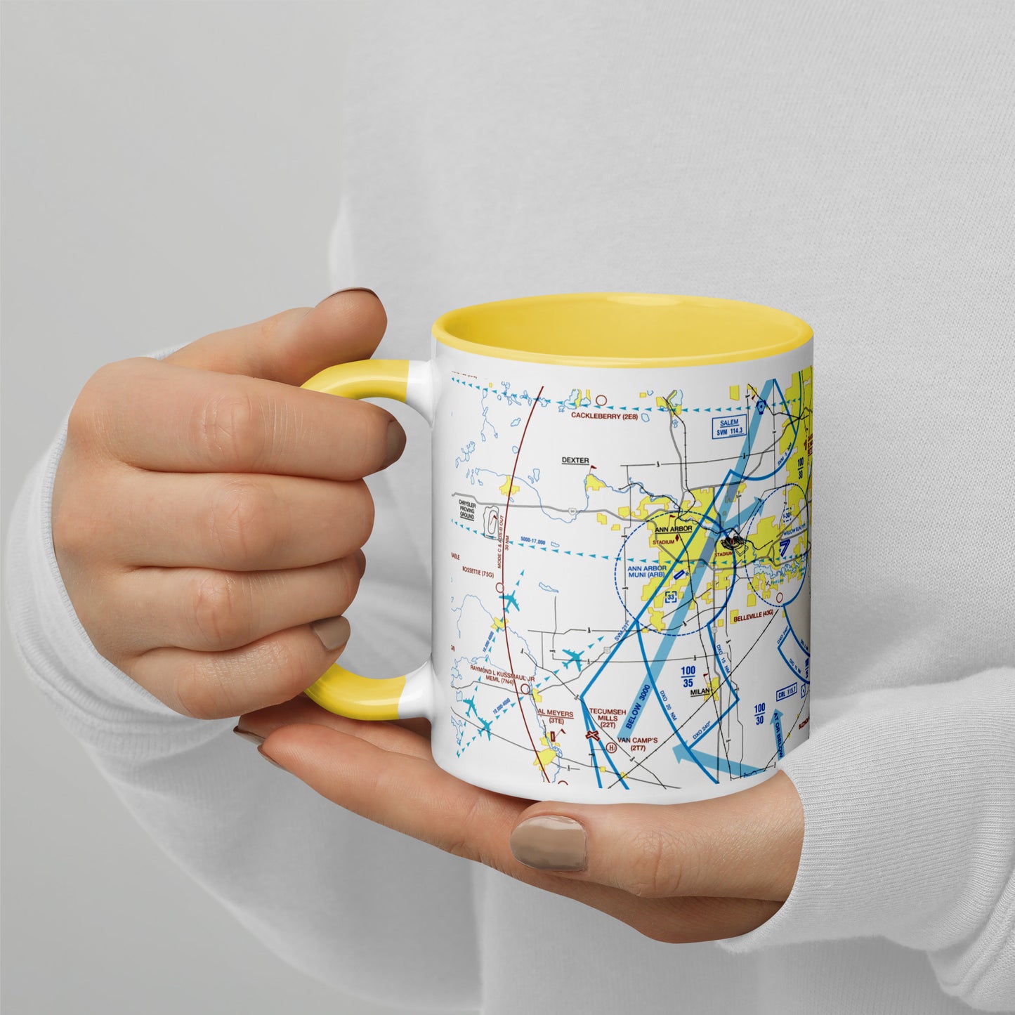 Detroit Flyway Chart mug with color inside