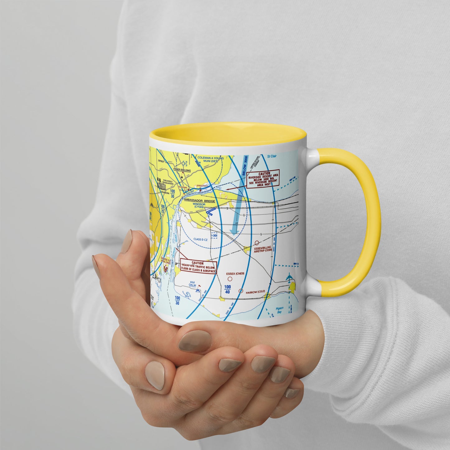 Detroit Flyway Chart mug with color inside