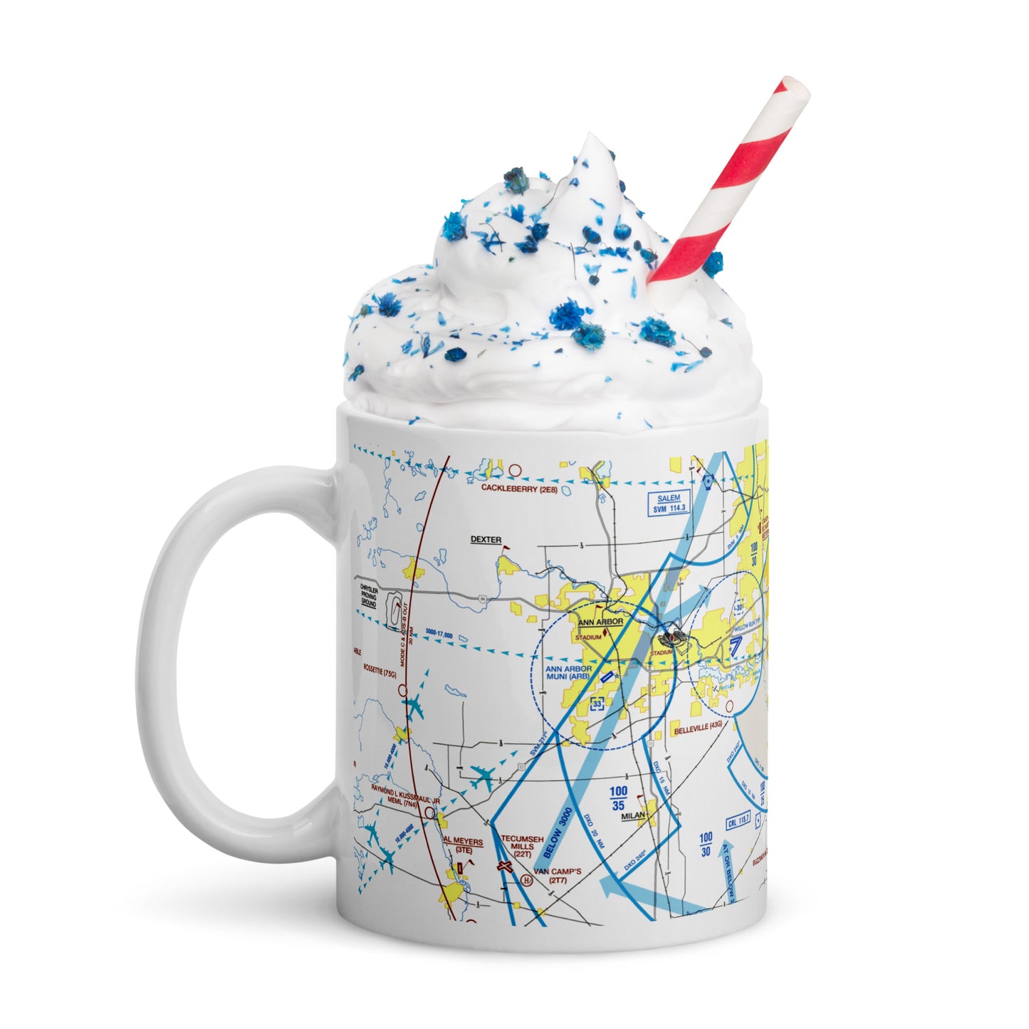 Detroit Flyway Chart mug