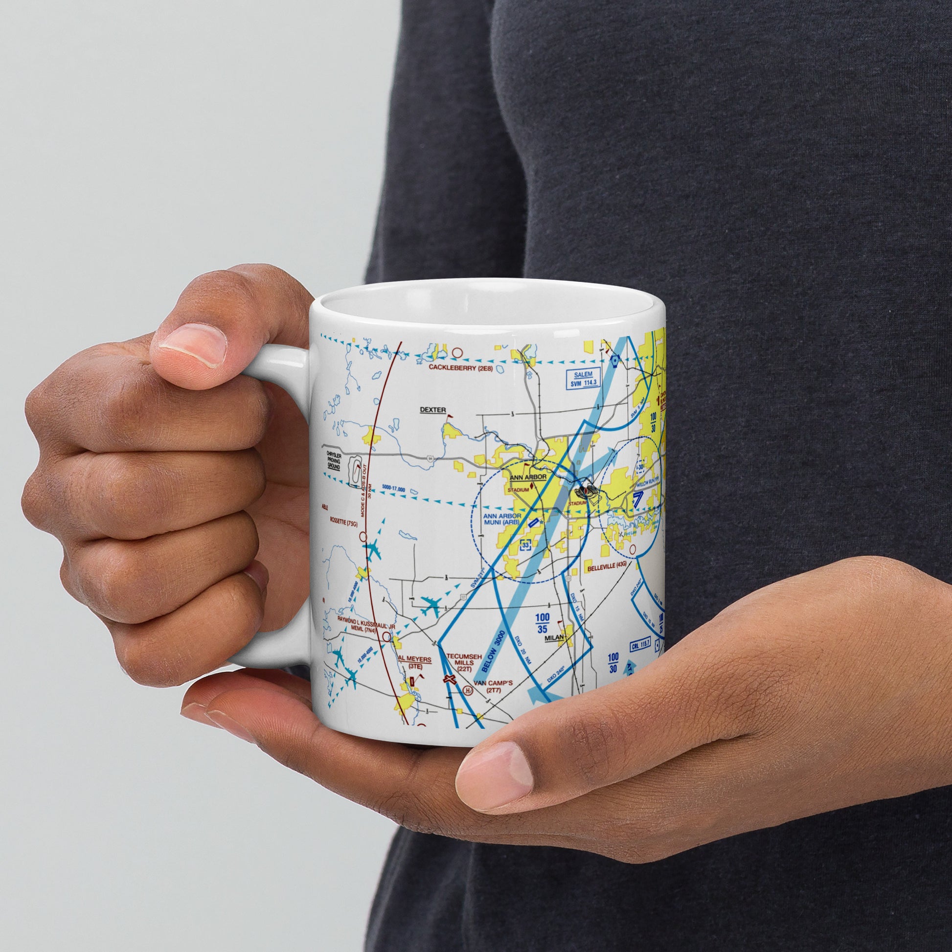 Detroit Flyway Chart mug