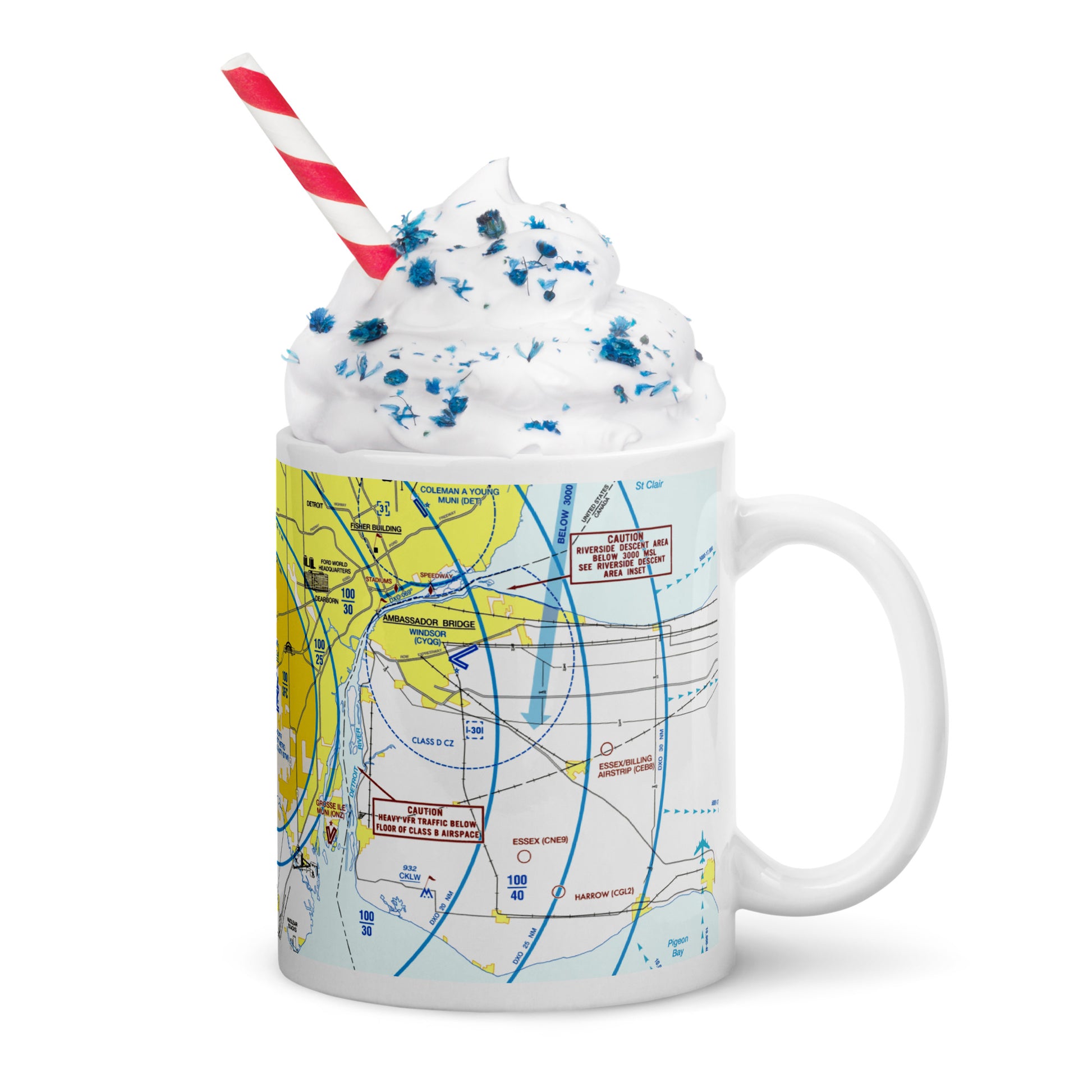 Detroit Flyway Chart mug