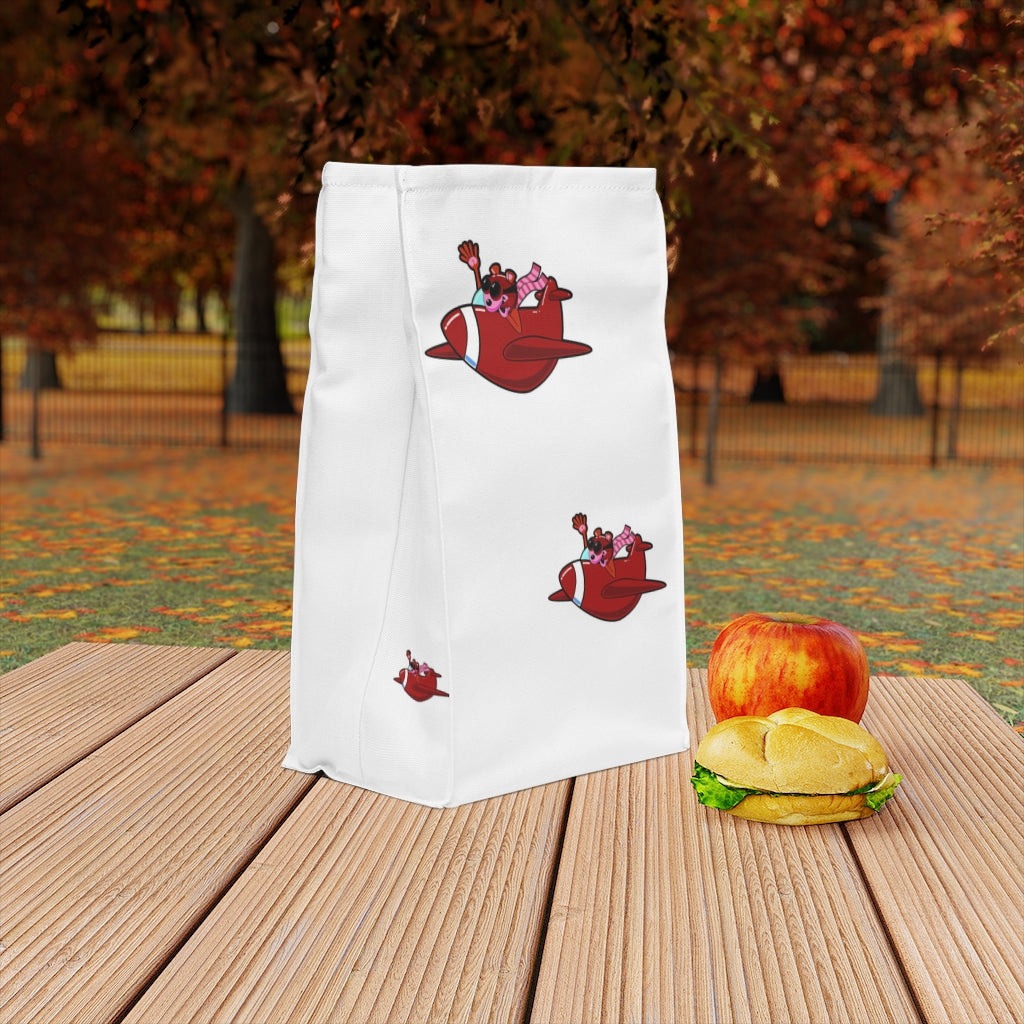 Little red airplane lunch bag