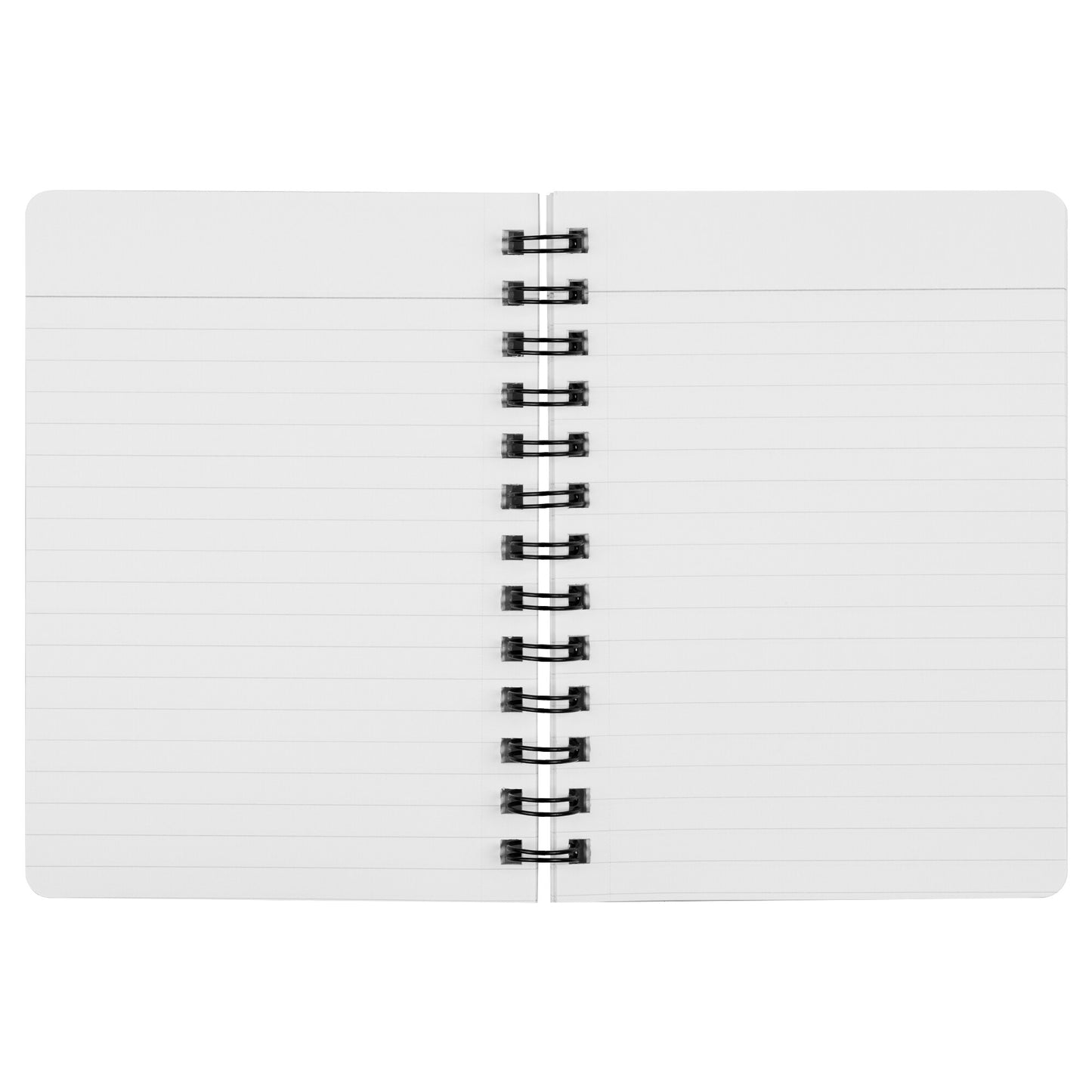 Hawthorne Airport Runway 25 / Runway 7 spiral notebook