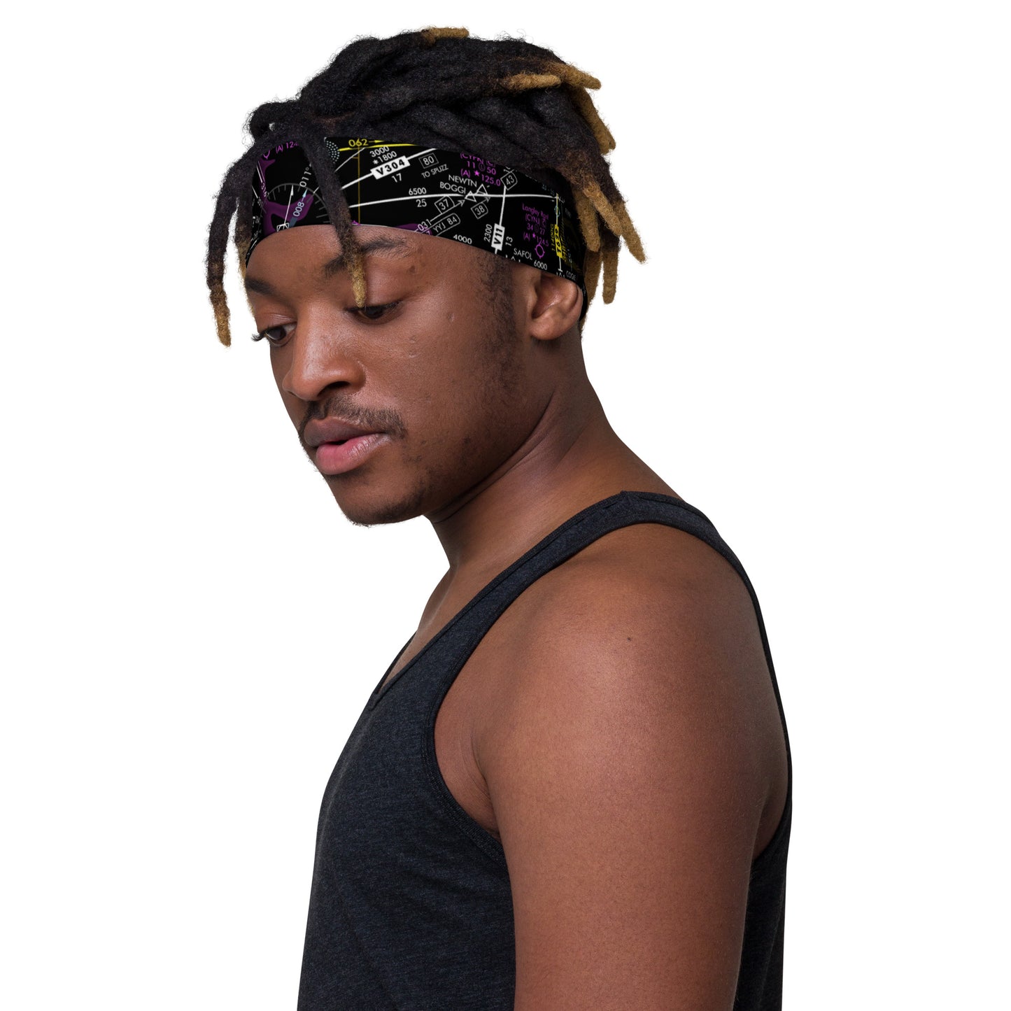 Enroute Low Altitude Chart - invert headband