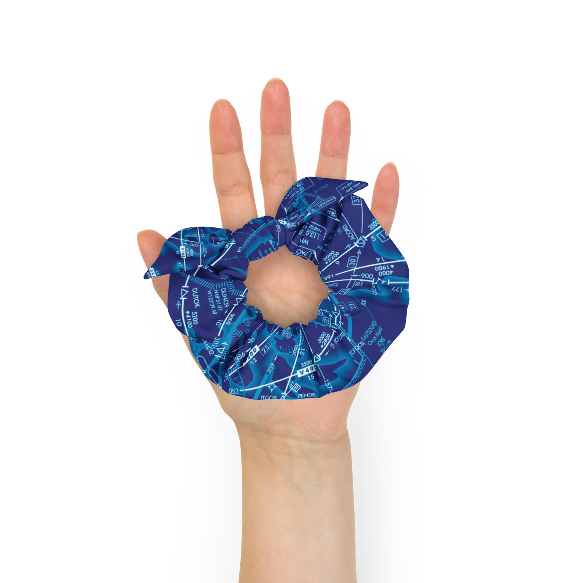 Enroute Low Altitude Chart - blue scrunchie