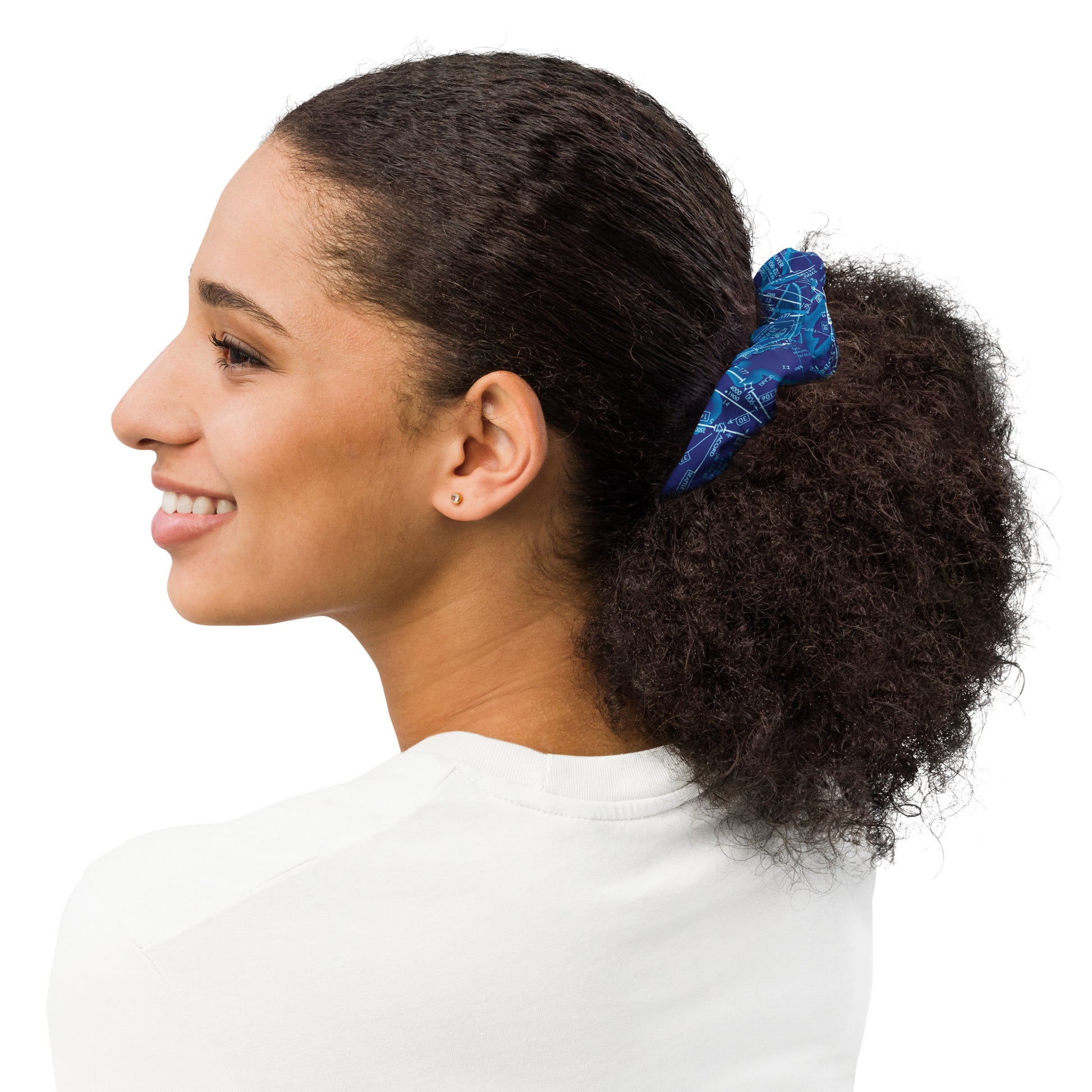 Enroute Low Altitude Chart - blue scrunchie
