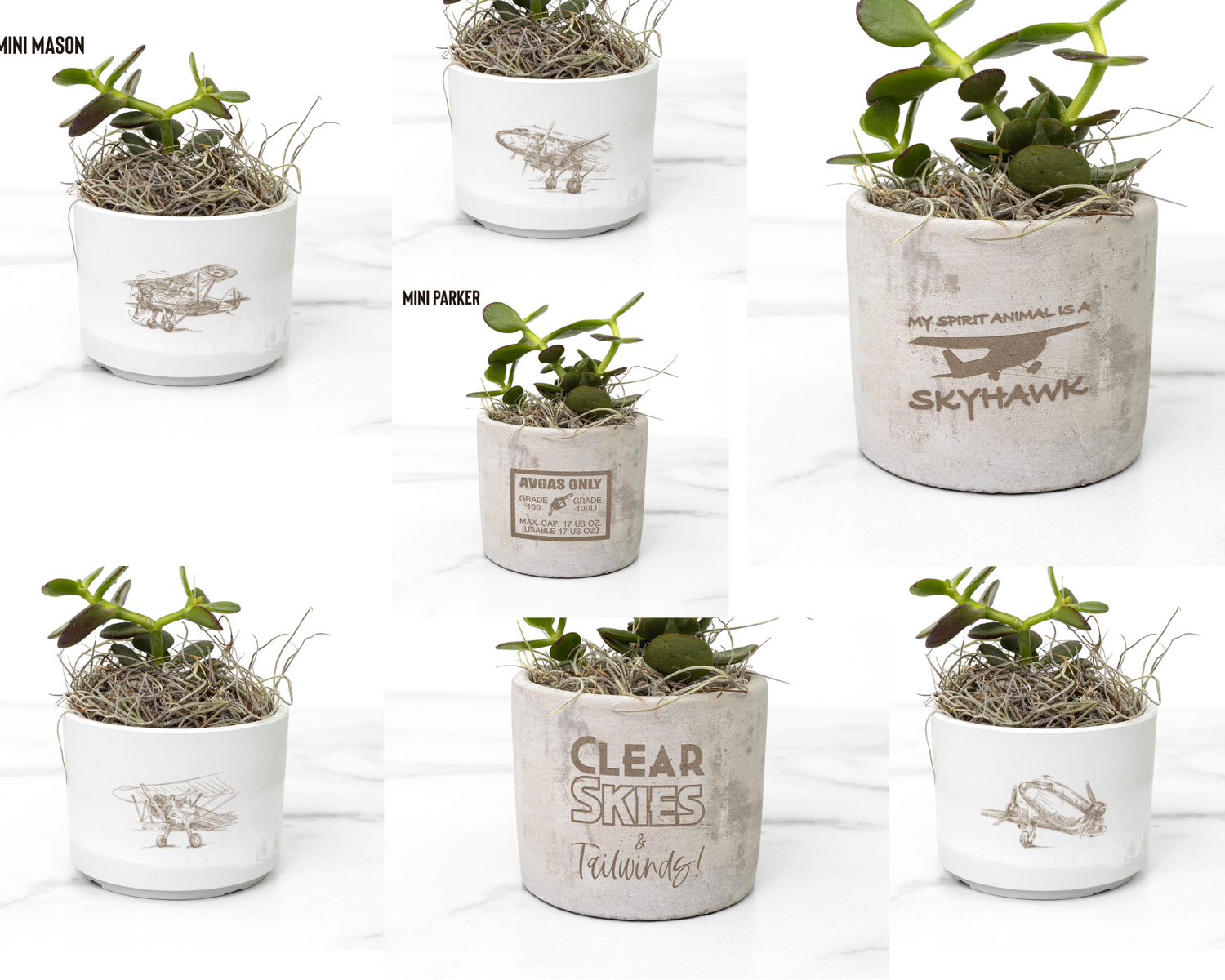 Desk plants