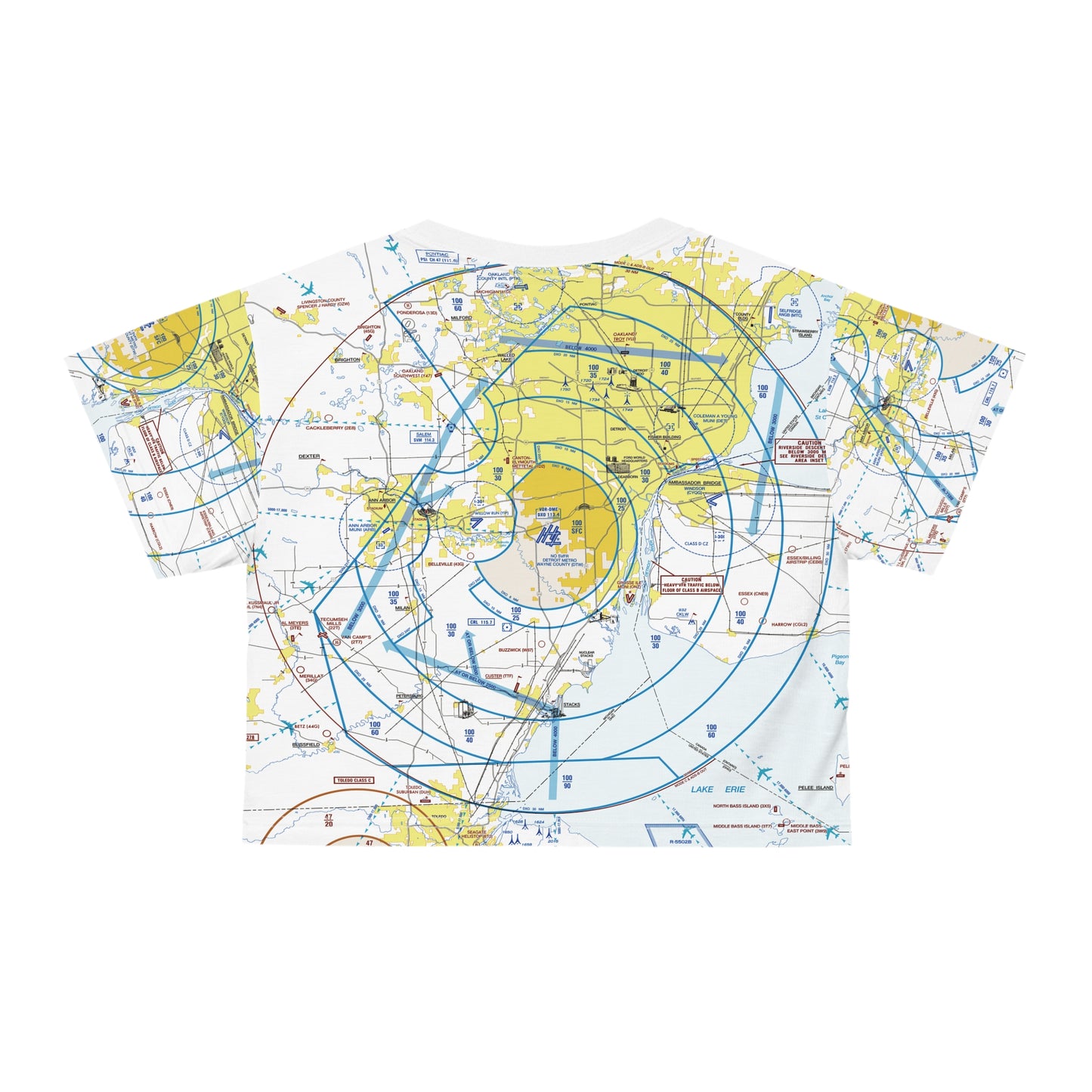 Detroit Flyway Chart crop tee