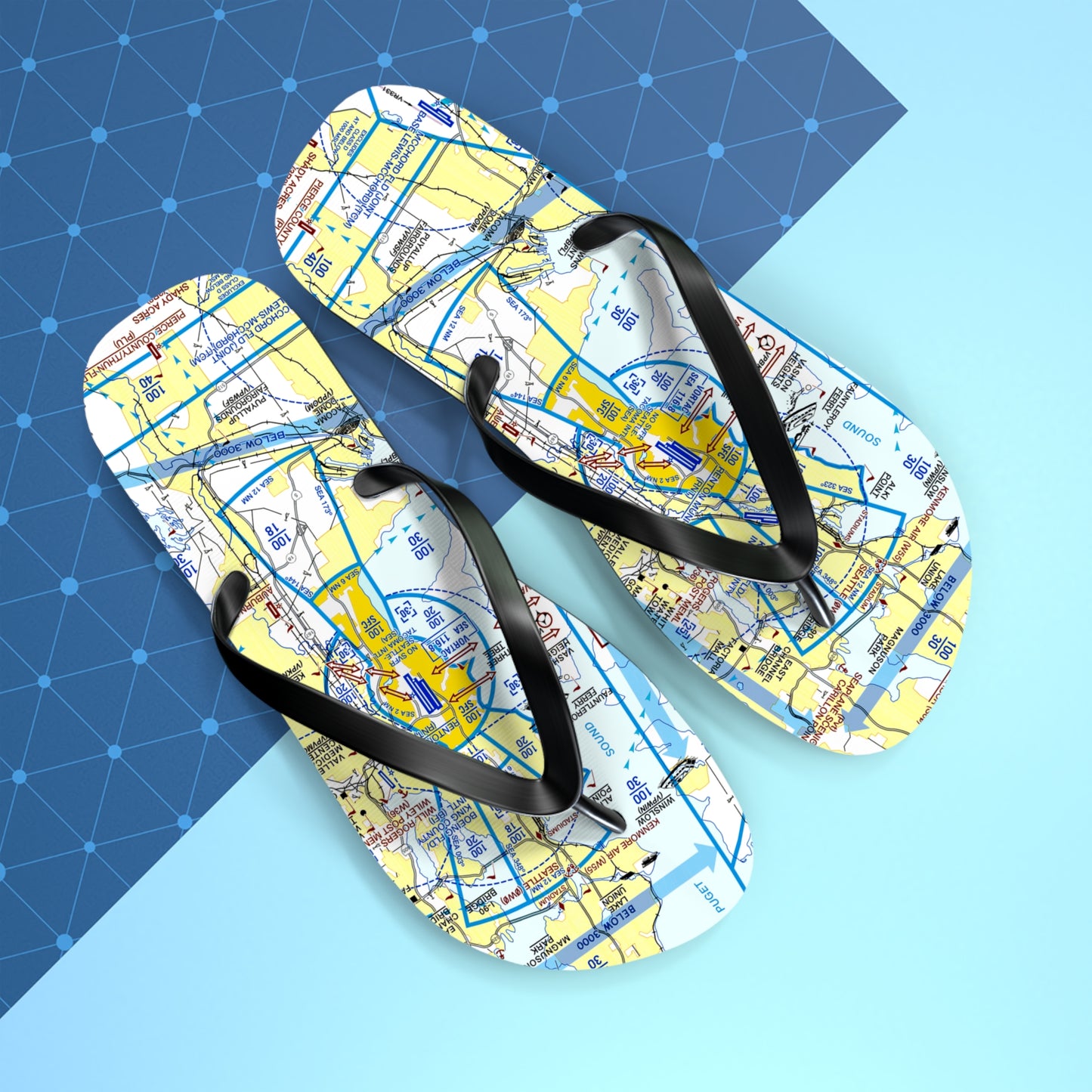 Aeronautical Chart Flip-Flops (SEA Flyway Chart)