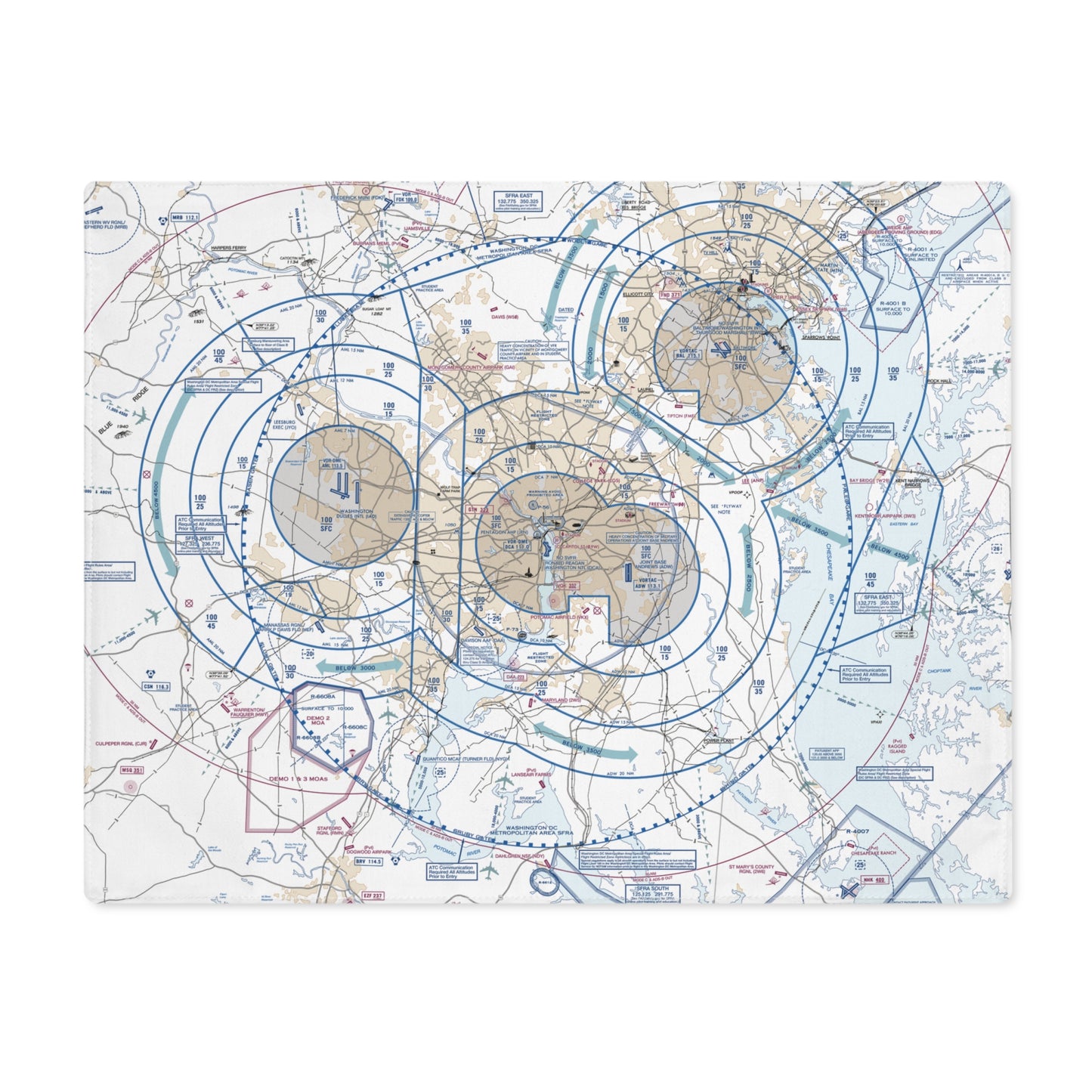 Baltimore-Washington Flyway Chart kitchen placemat