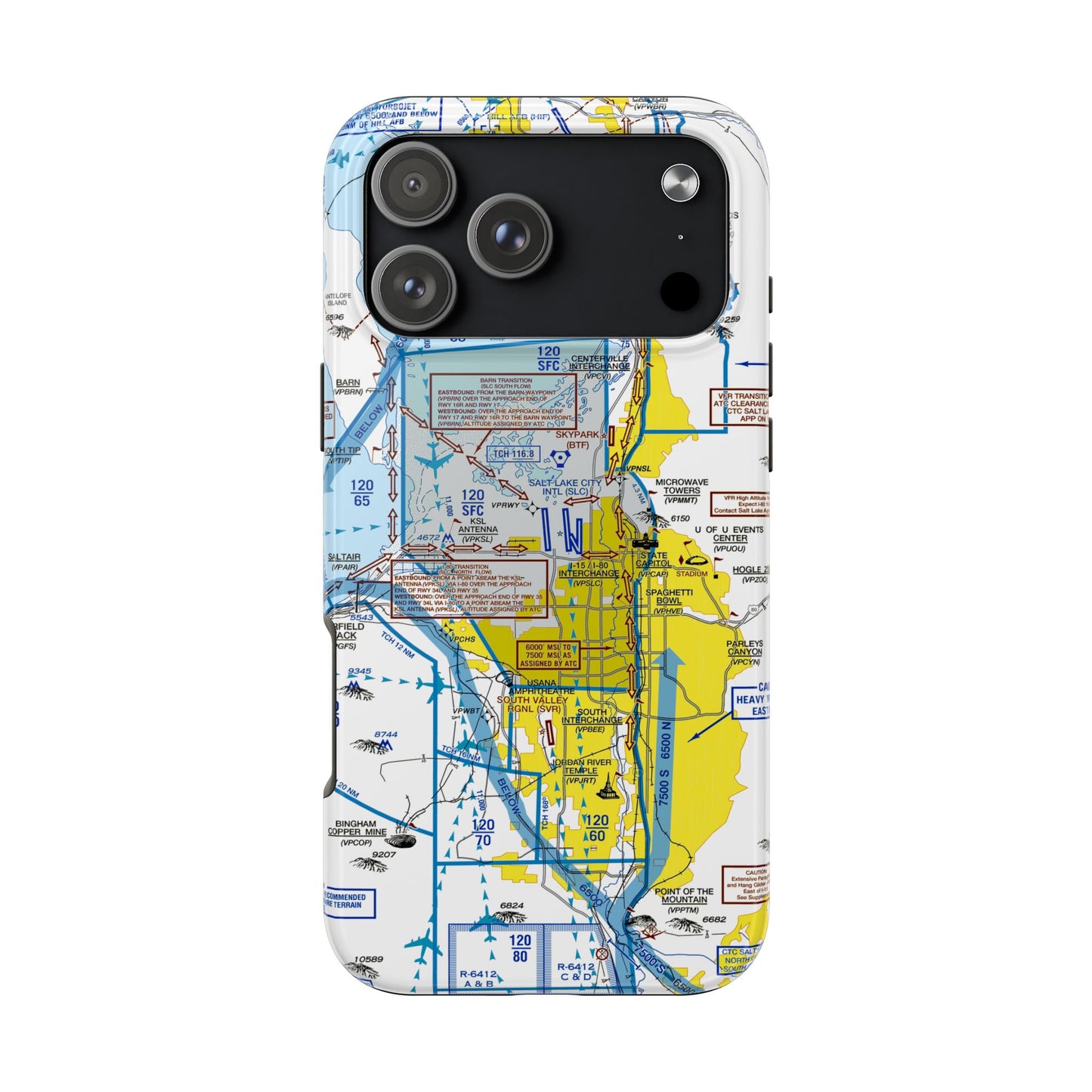 Salt Lake City Flyway Chart tough phone cases