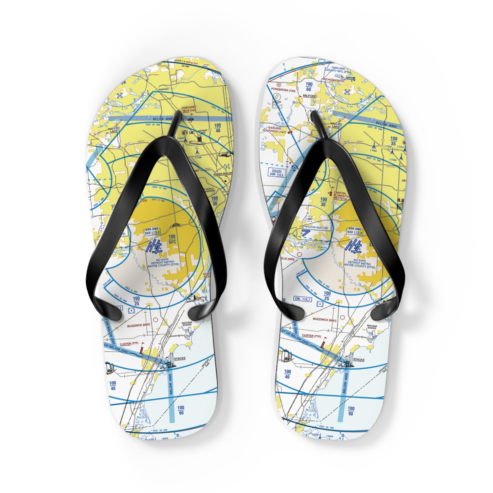 Aeronautical Chart Flip-Flops (DTW Flyway Chart)