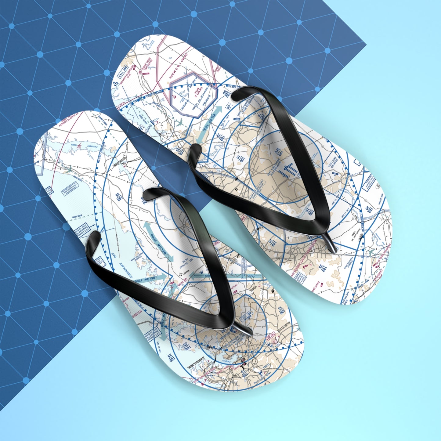 Aeronautical Chart Flip-Flops (BWI Flyway Chart)