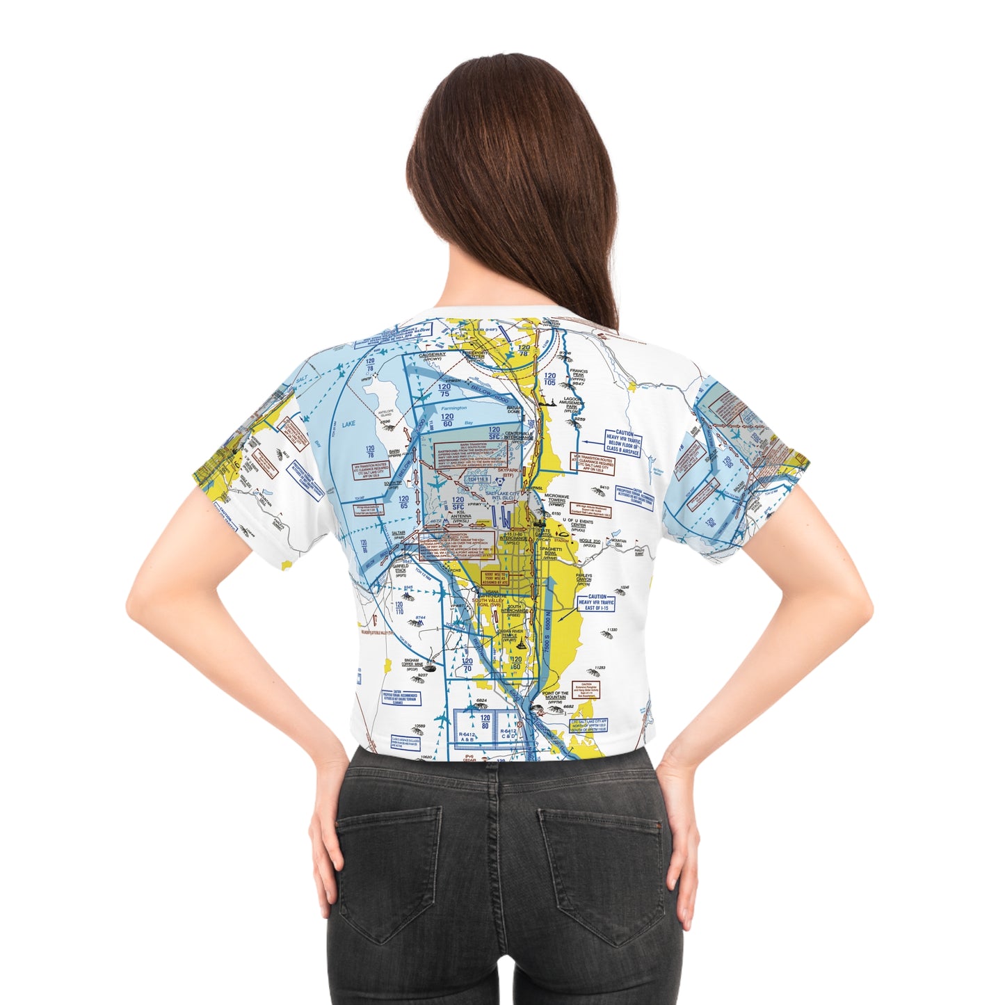 Salt Lake City Flyway Chart crop tee