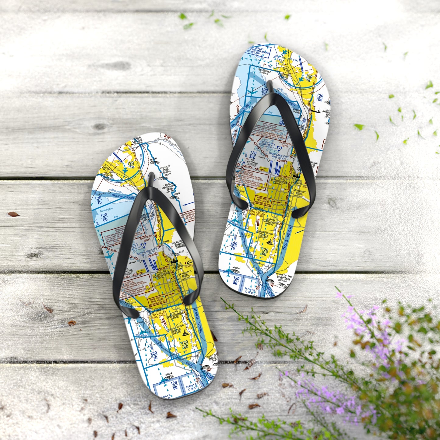 Aeronautical Chart Flip-Flops (SLC Flyway Chart)