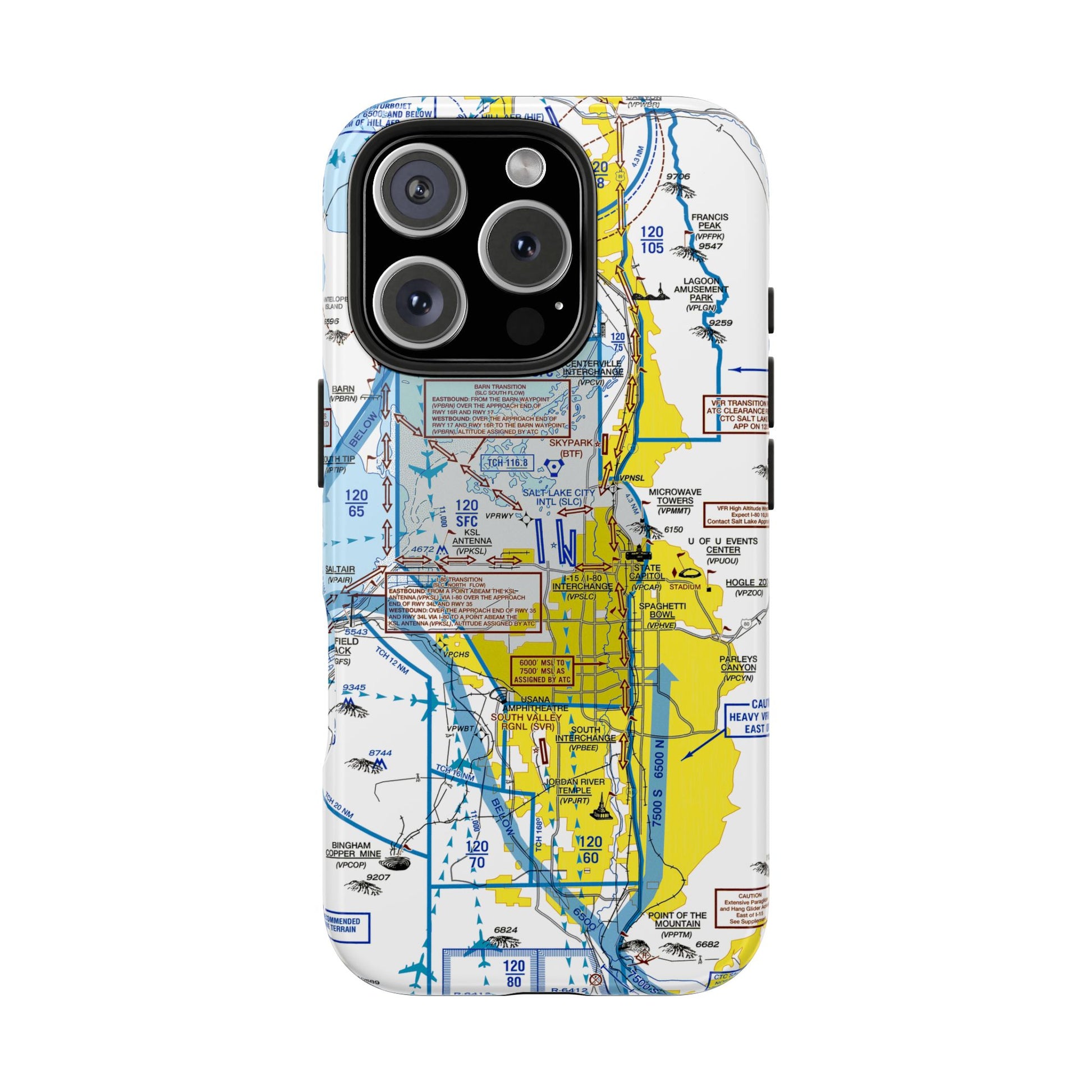 Salt Lake City Flyway Chart tough phone cases