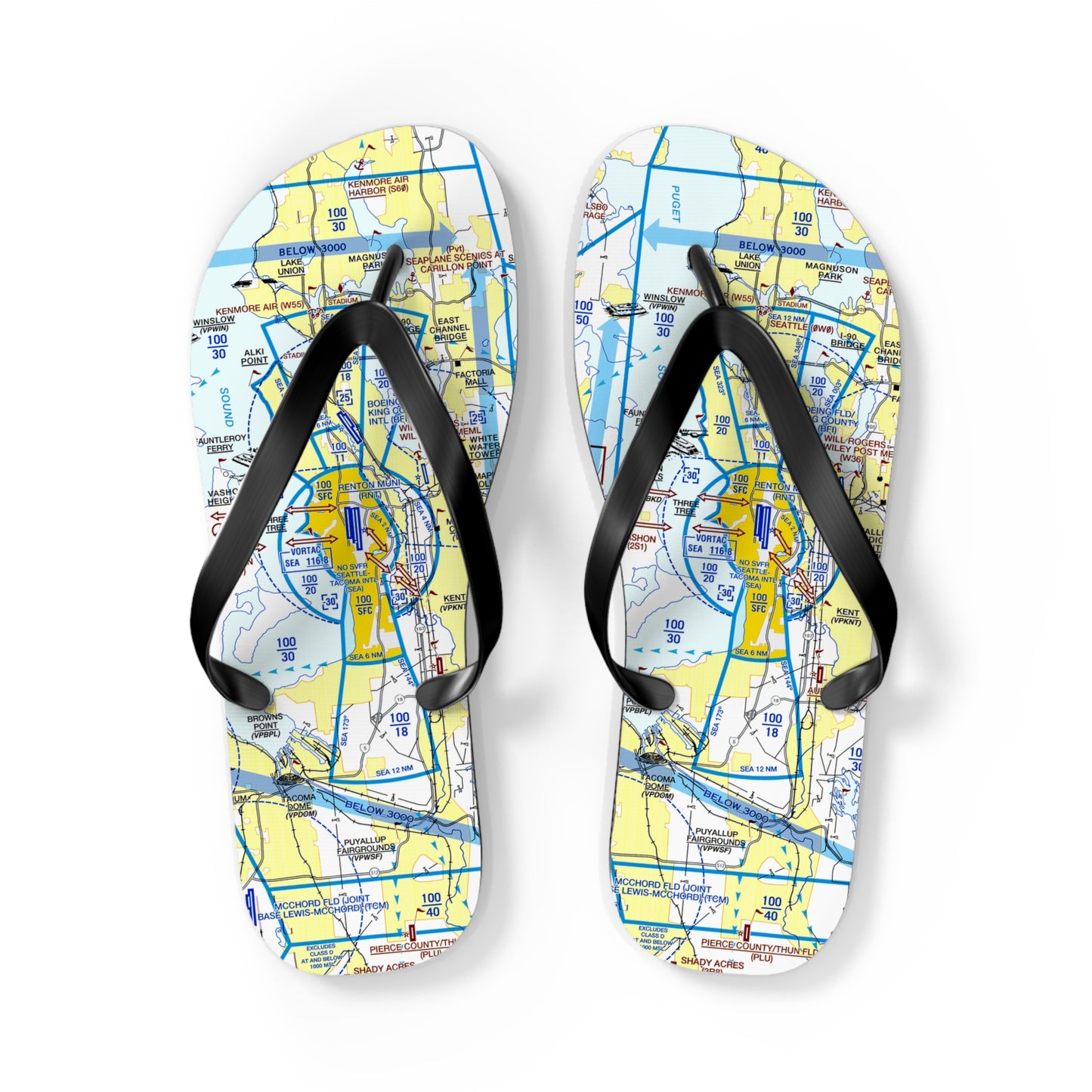 Aeronautical Chart Flip-Flops (SEA Flyway Chart)