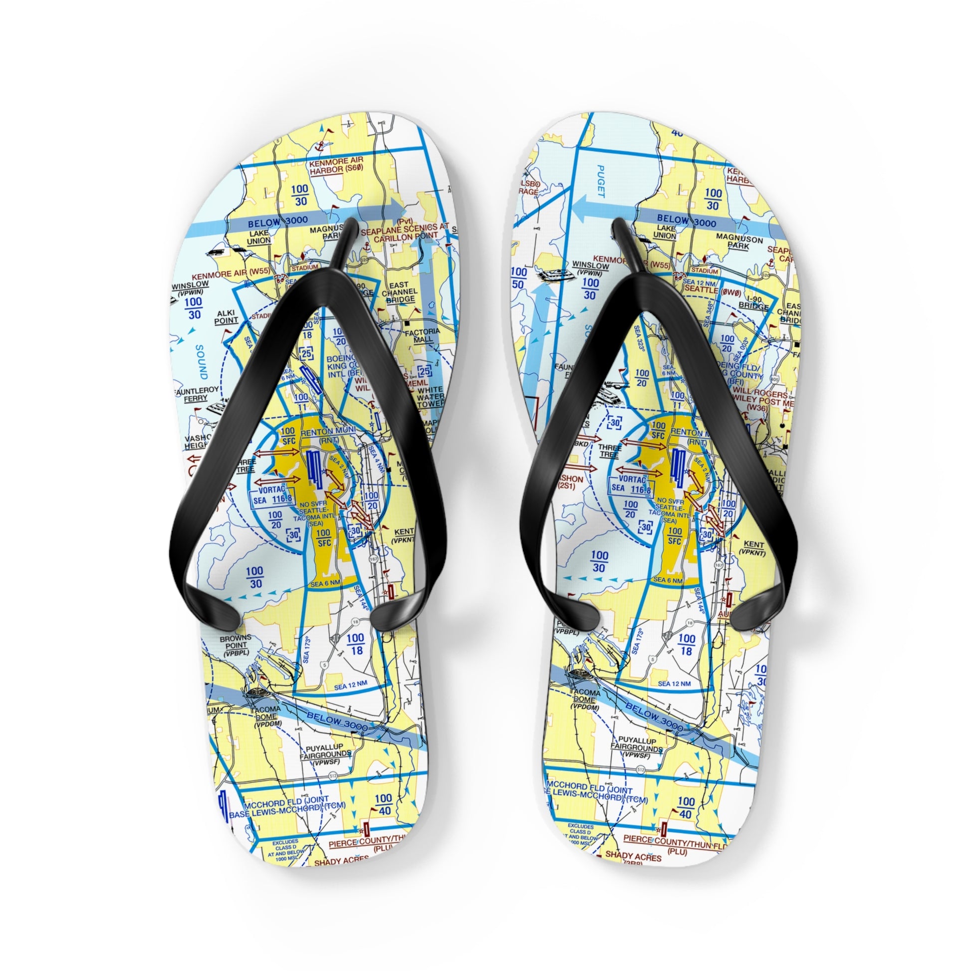 Aeronautical Chart Flip-Flops (SEA Flyway Chart)