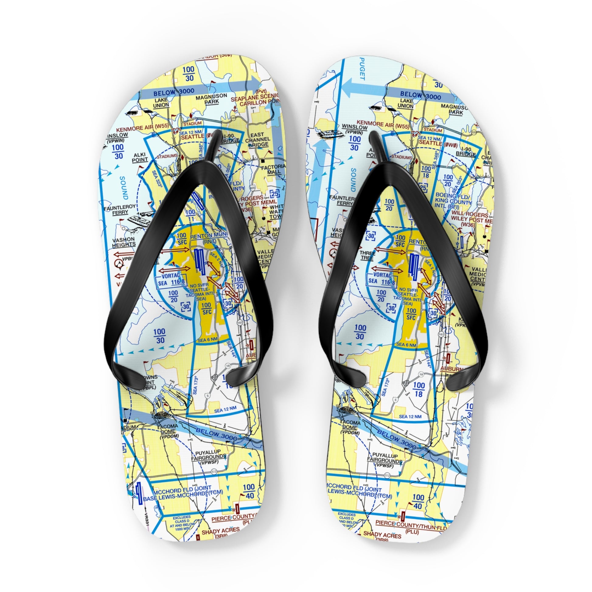 Aeronautical Chart Flip-Flops (SEA Flyway Chart)