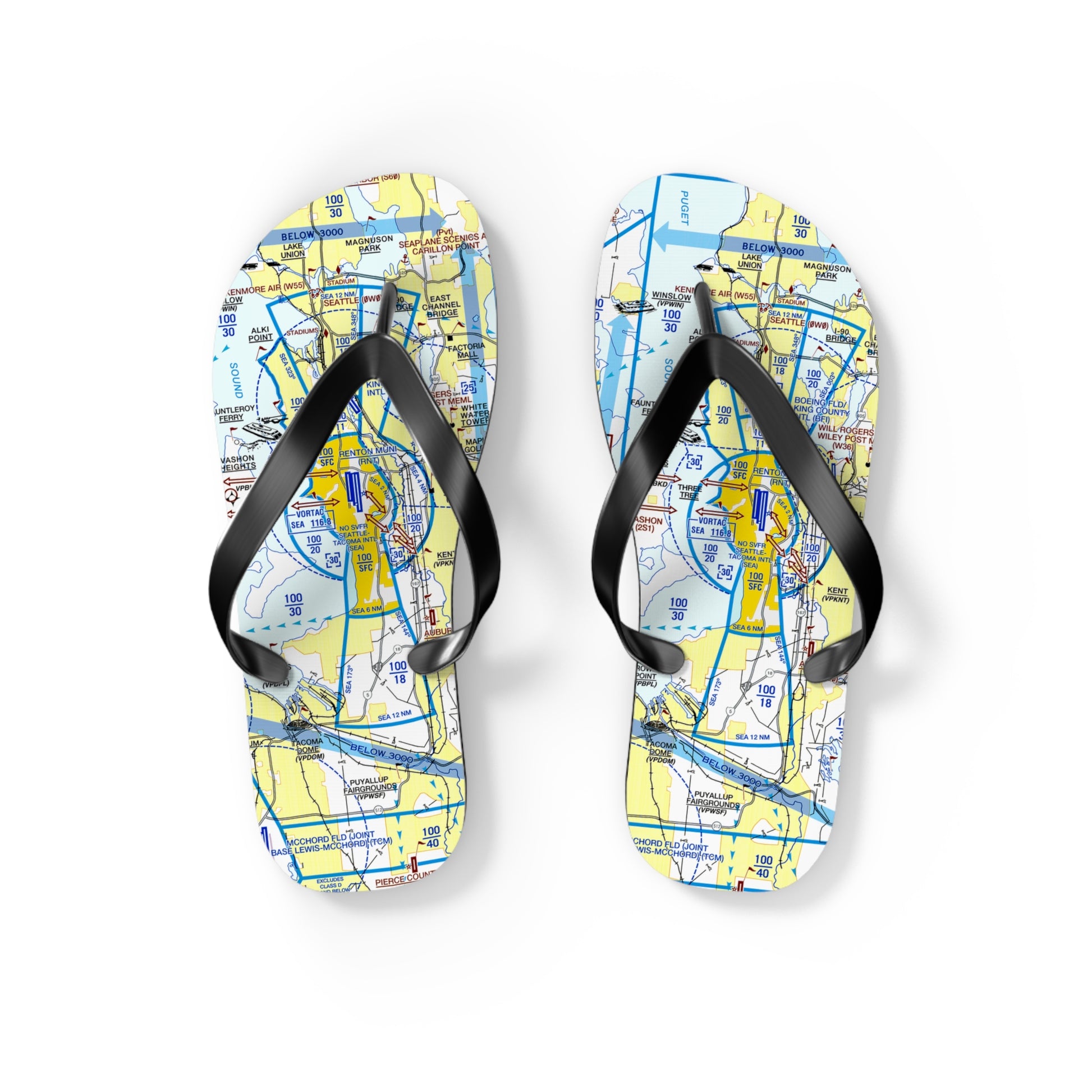 Aeronautical Chart Flip-Flops (SEA Flyway Chart)