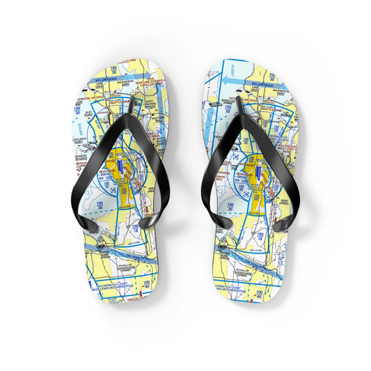 Aeronautical Chart Flip-Flops (SEA Flyway Chart)
