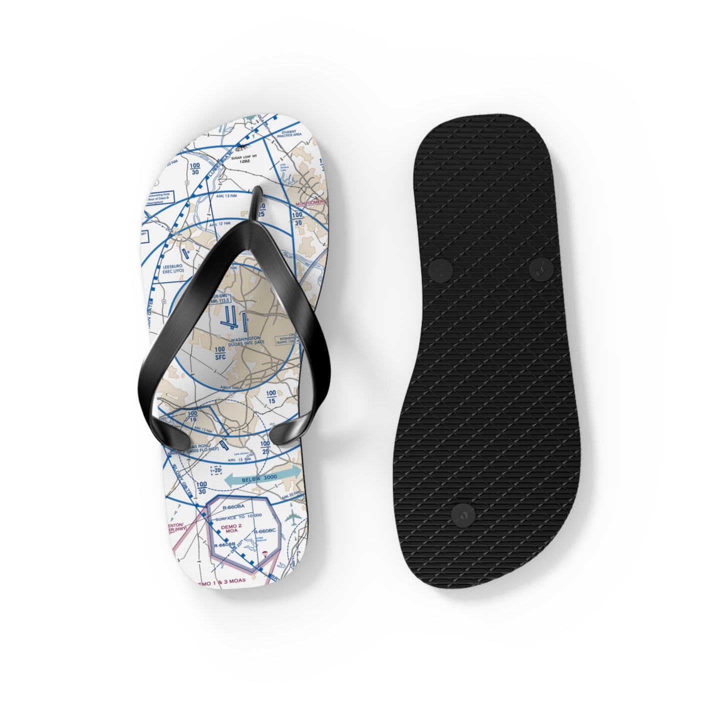 Aeronautical Chart Flip-Flops (BWI Flyway Chart)
