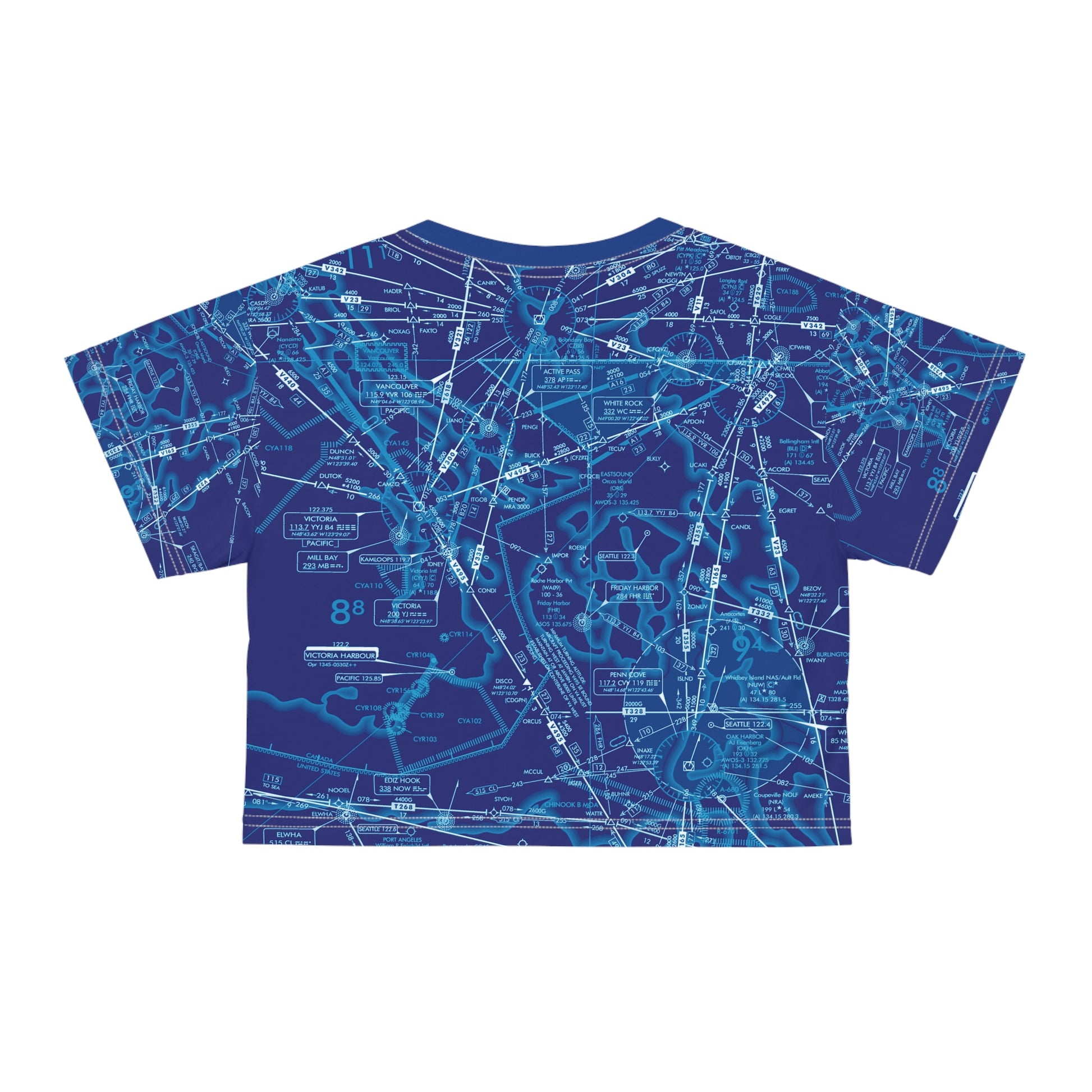 Enroute Low Altitude Chart (blue) crop tee